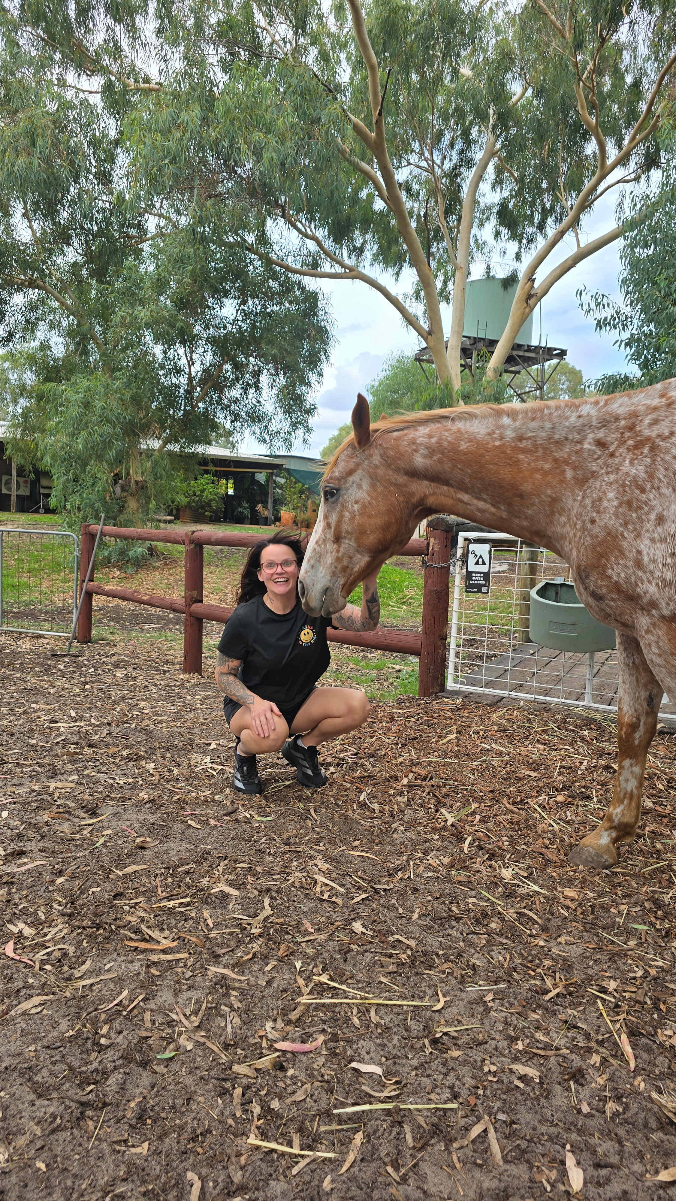 Everything Horses Ltd