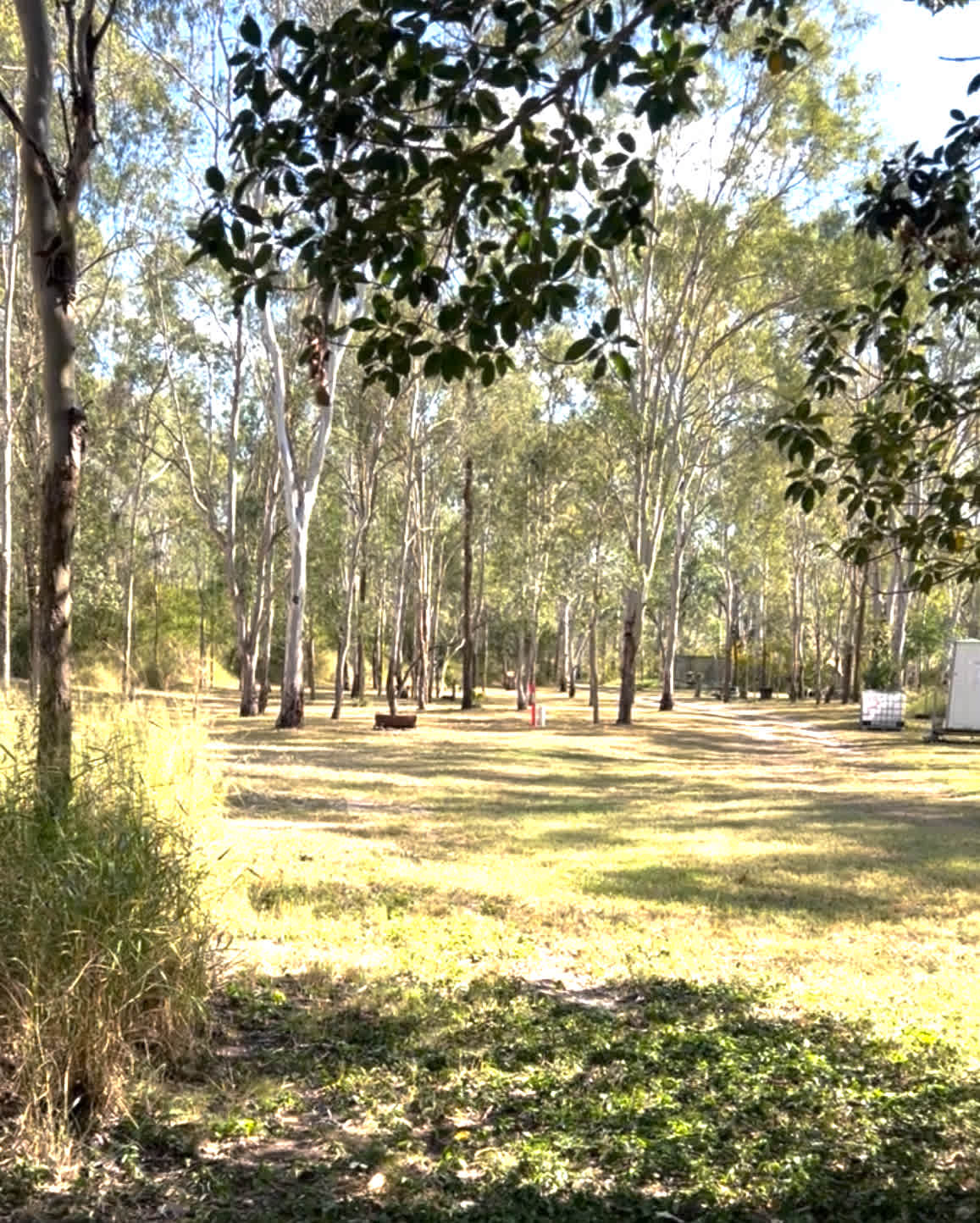 Northbrook Skies Camping