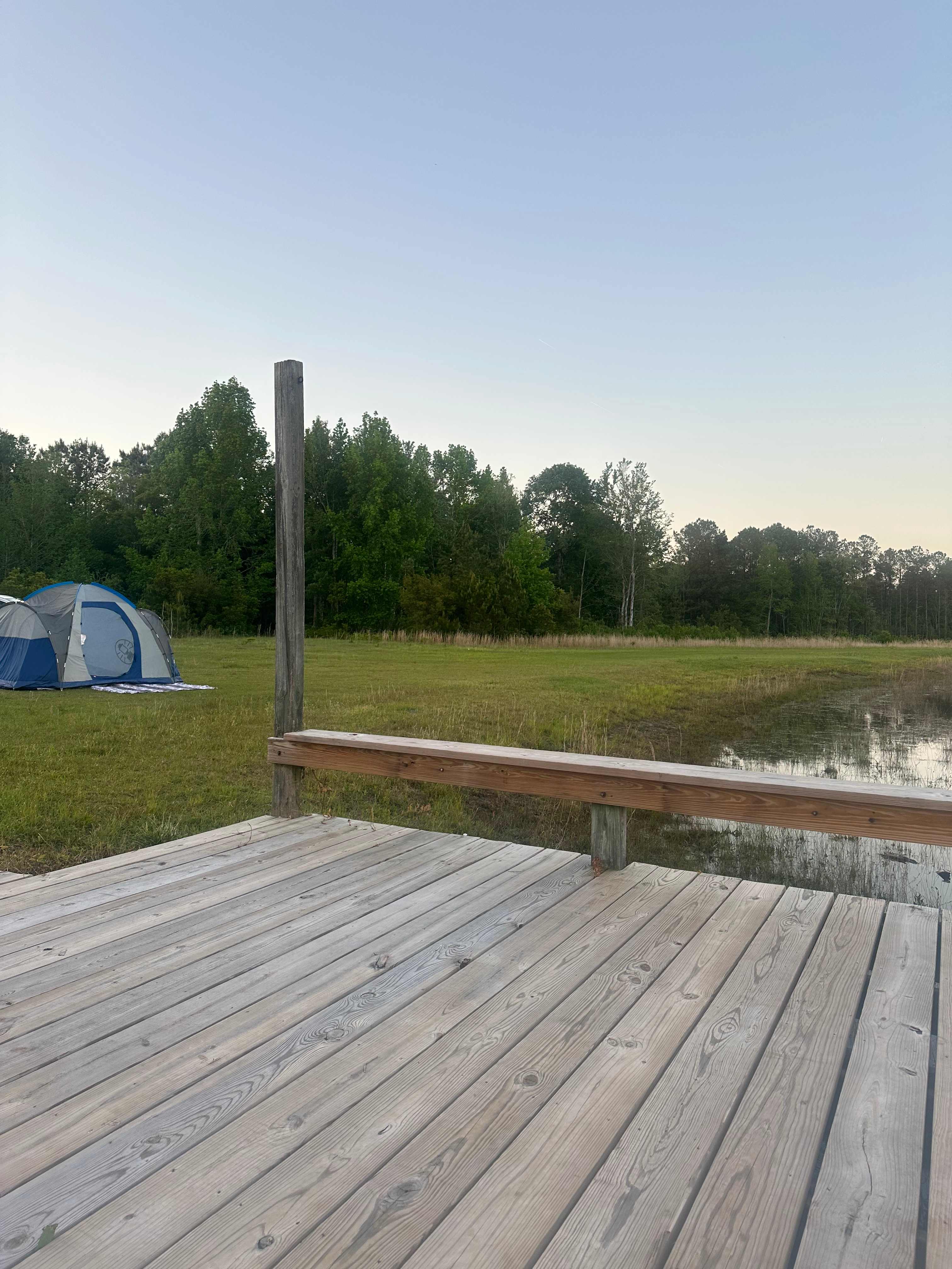 The Pine Tree Retreat