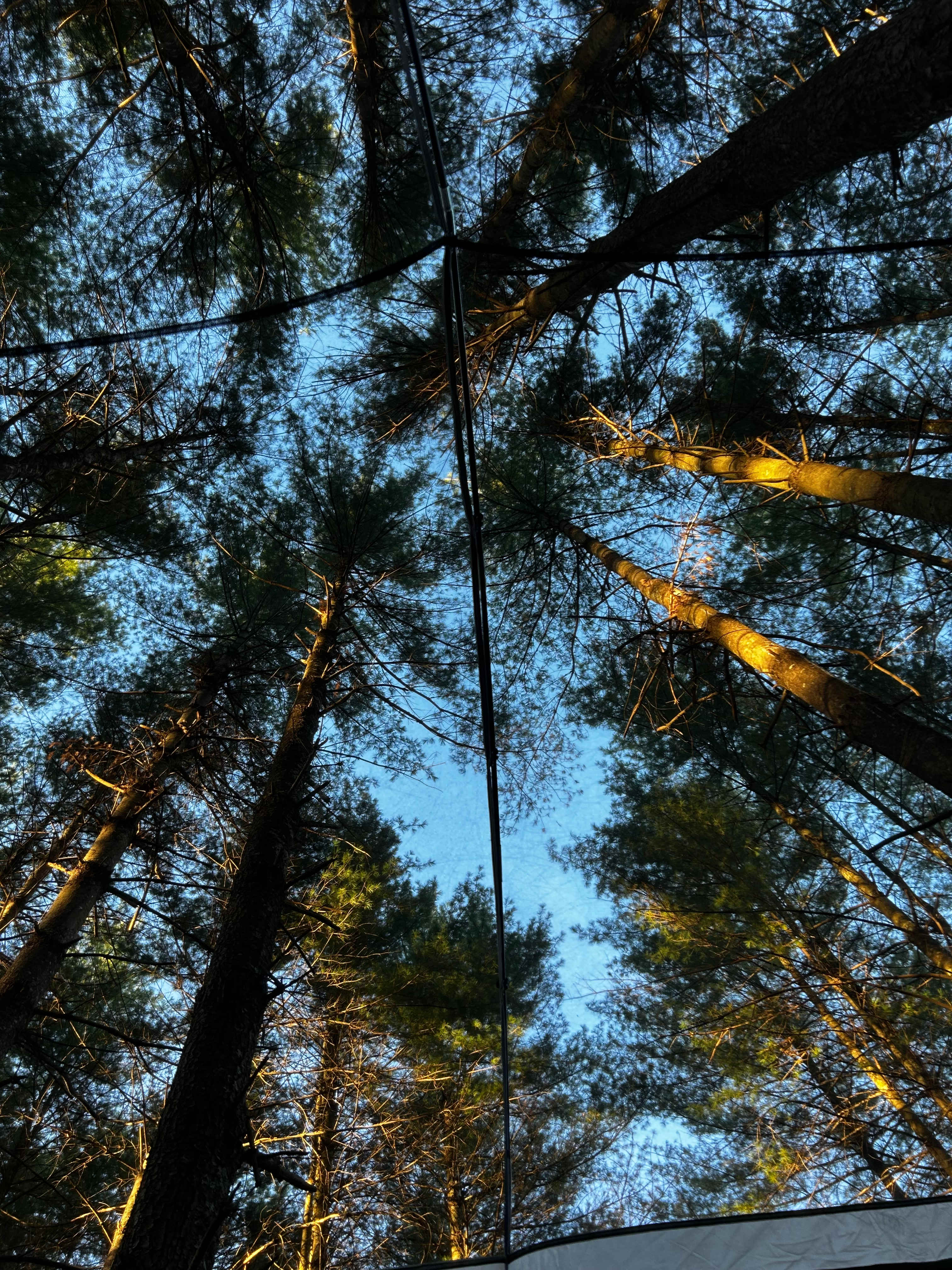 Hammock’Sway Private Off Grid Camp
