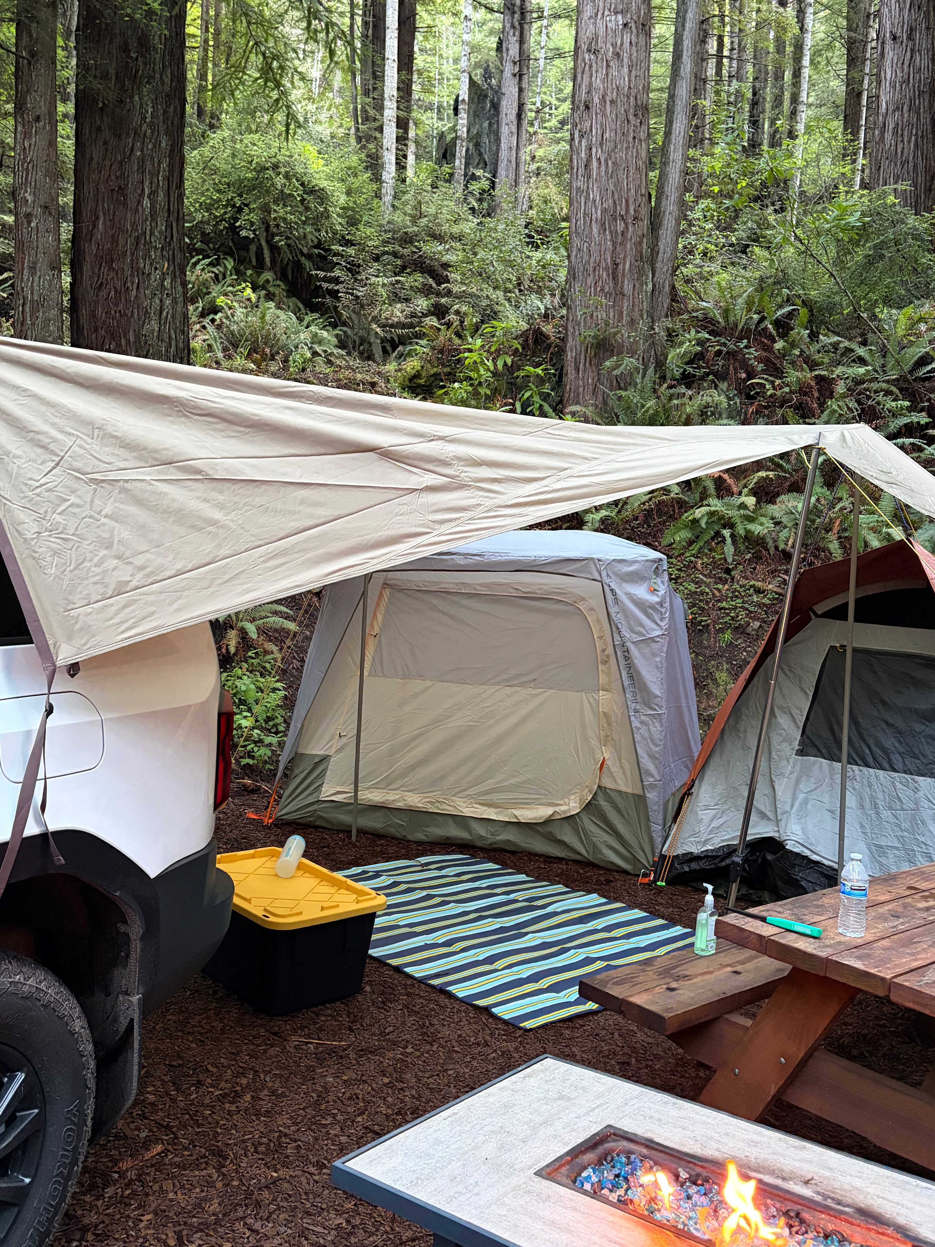 Whispering Redwood Creek
