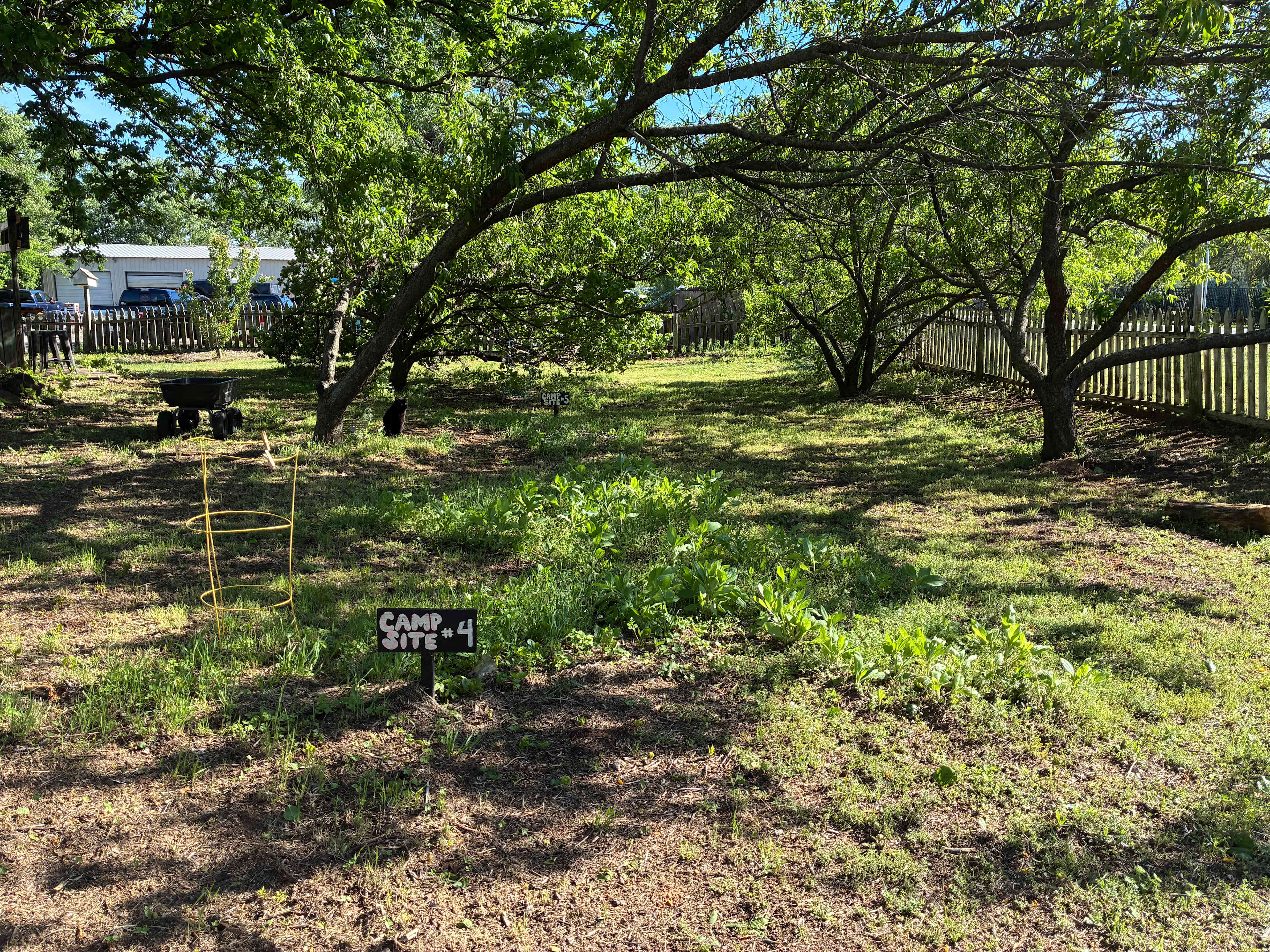 Picture of the site