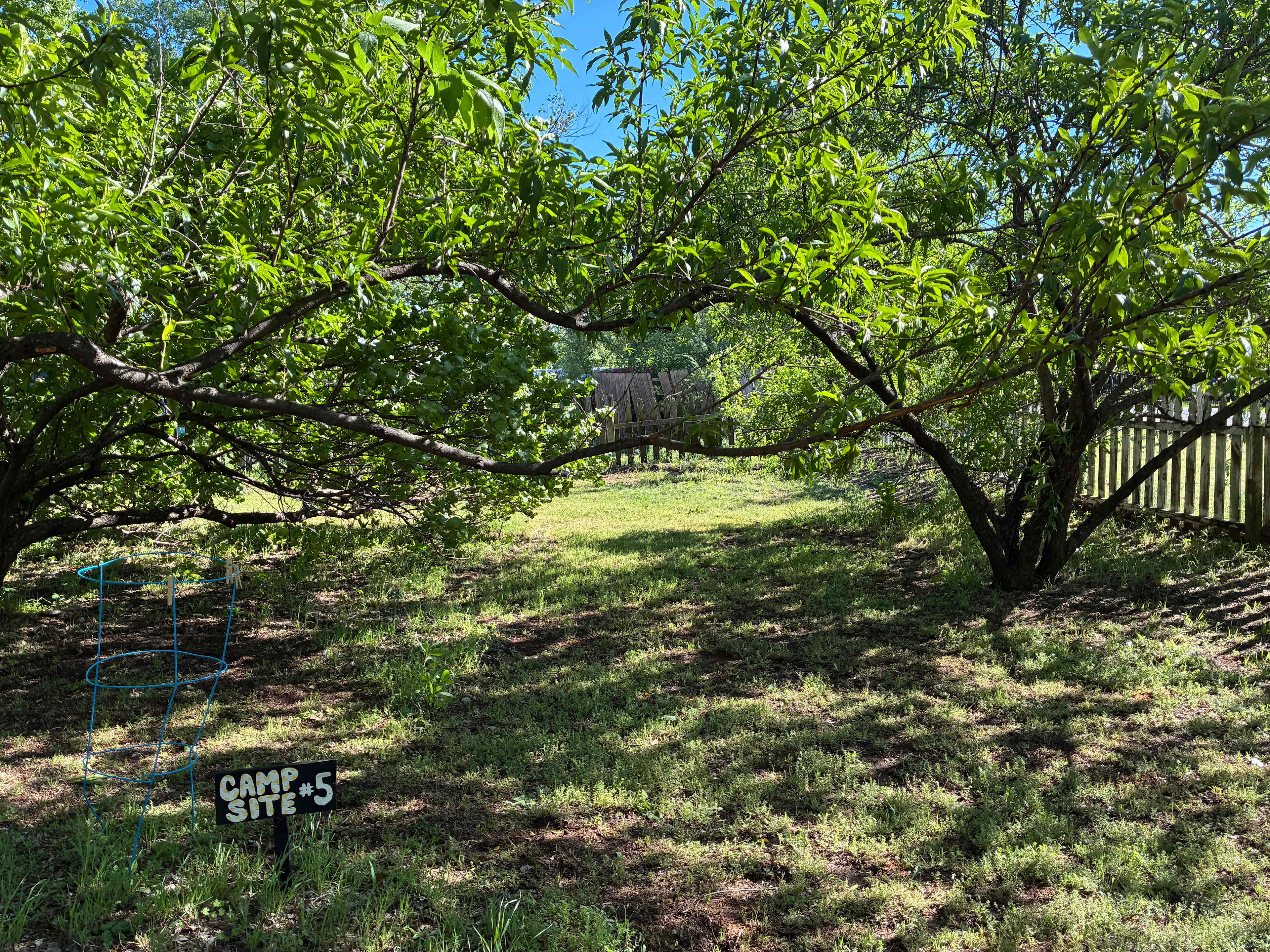 Picture of the site