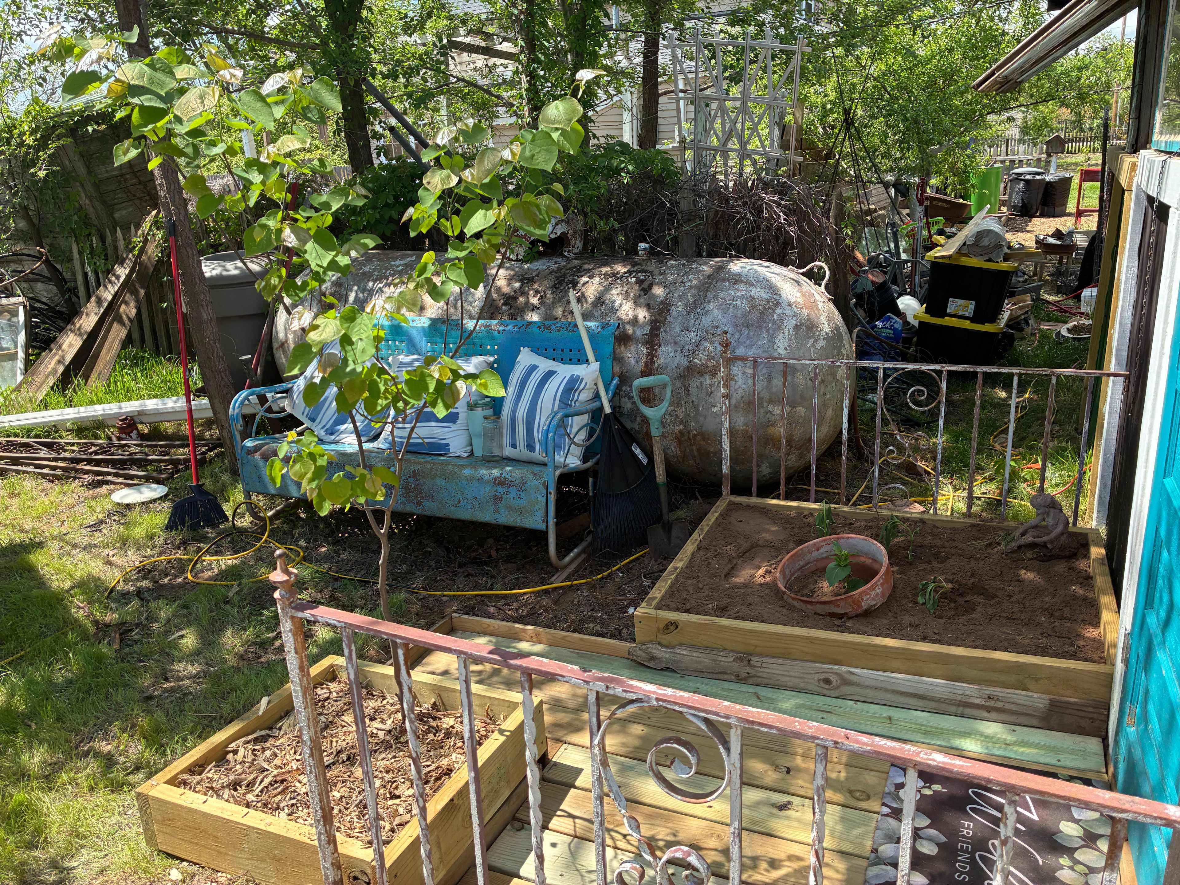 Picture of the site