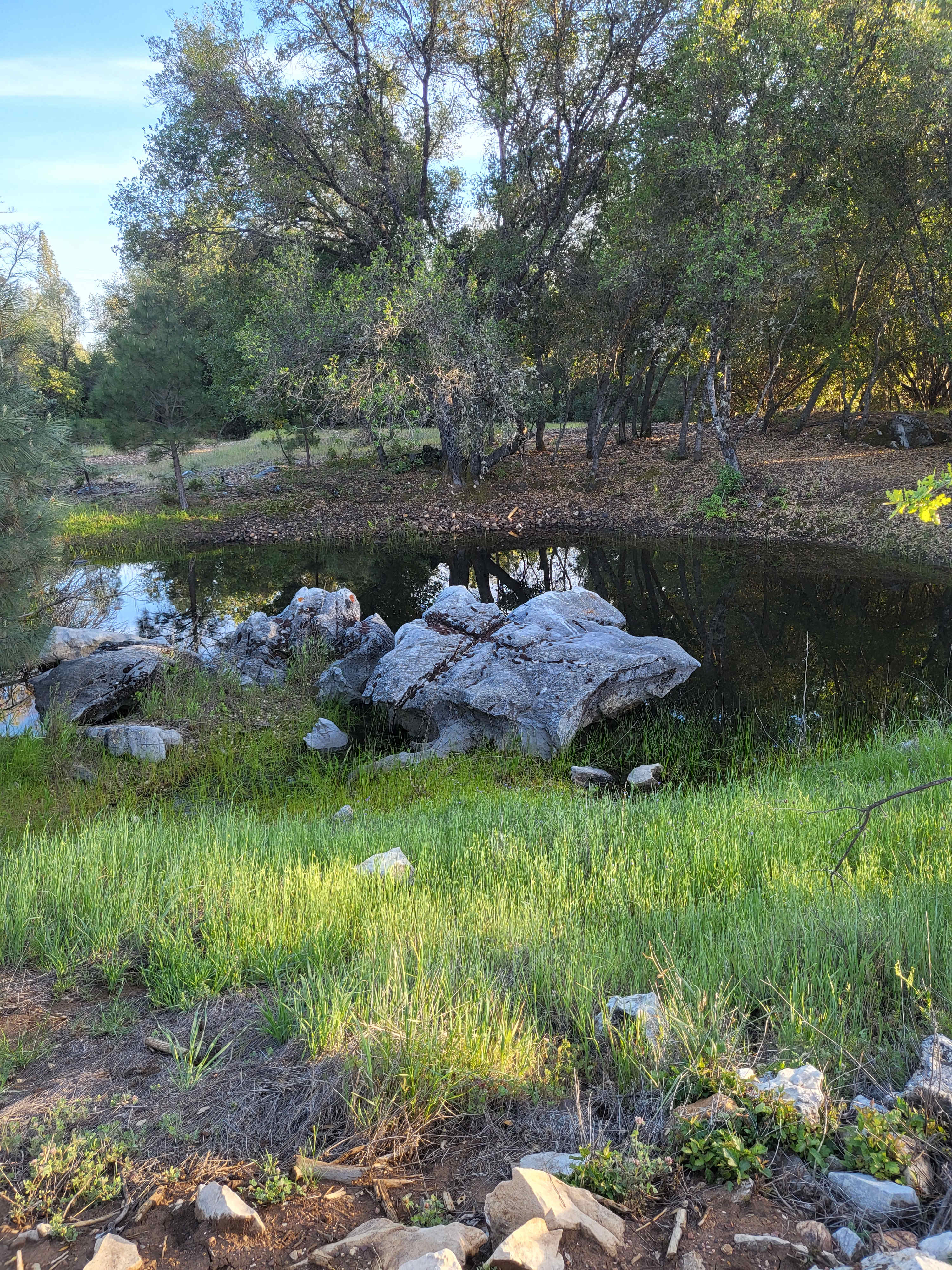 Squirrel Rock RV Campground