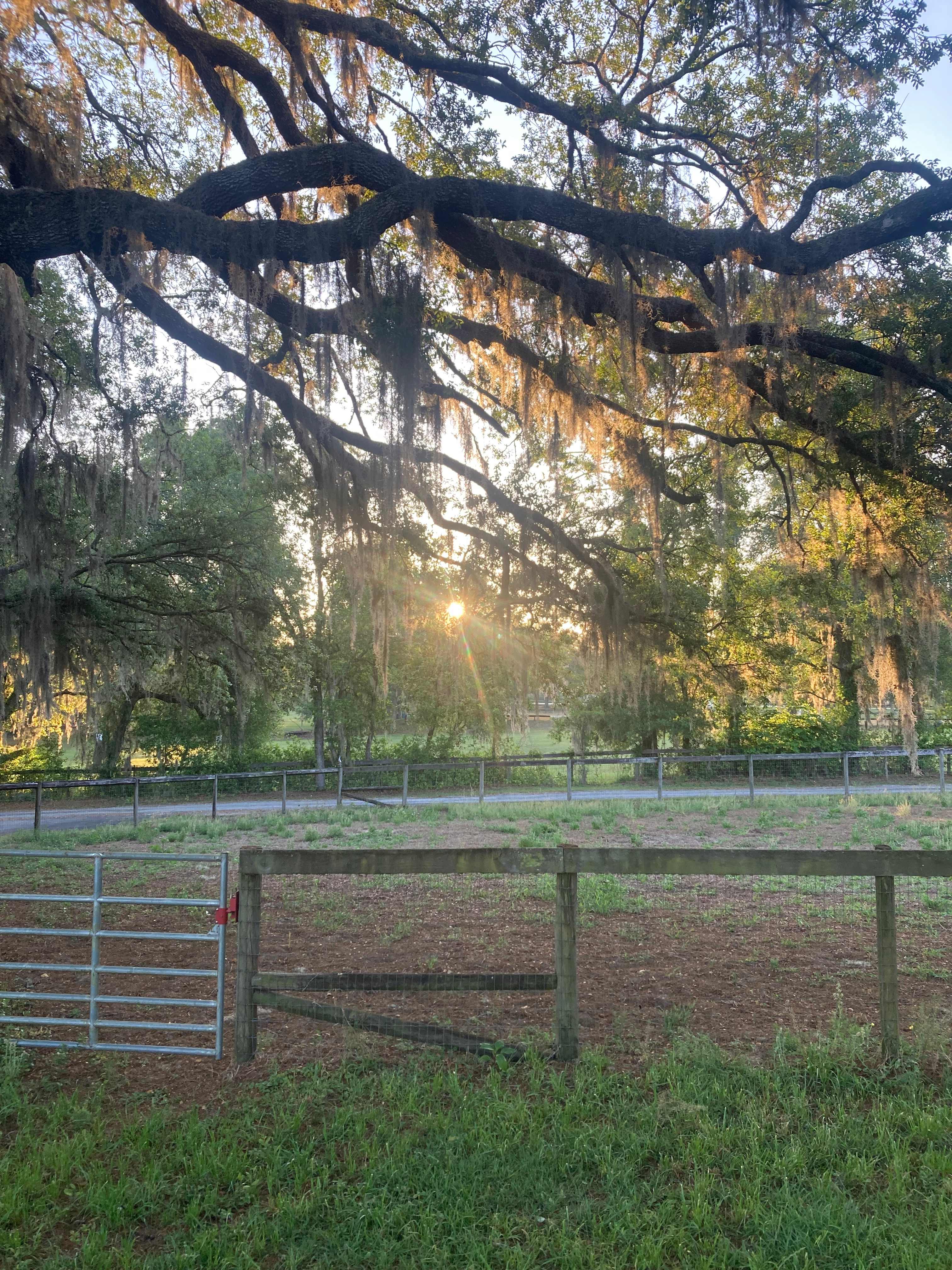 Spotted Dance Ranch