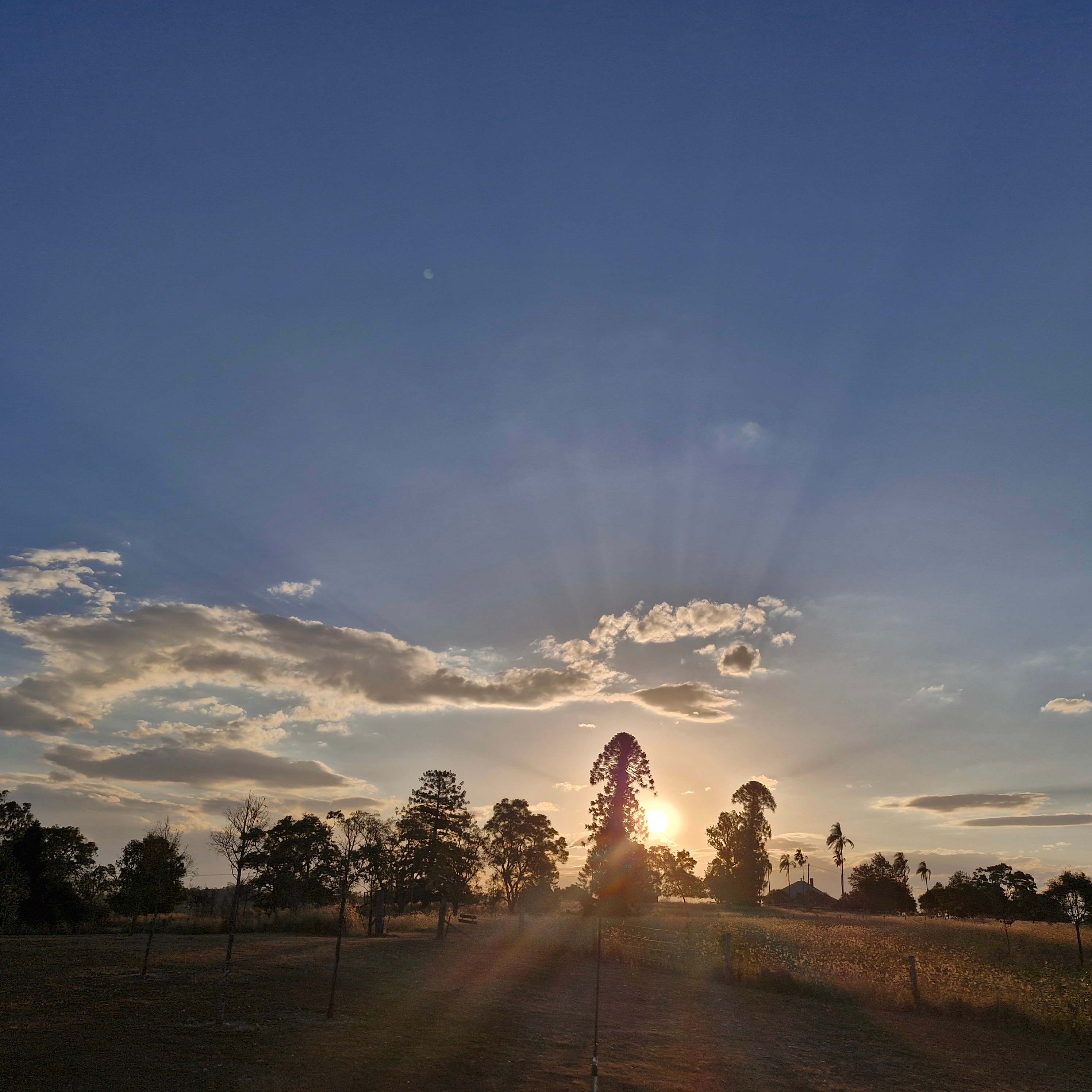 Logan Park Farm