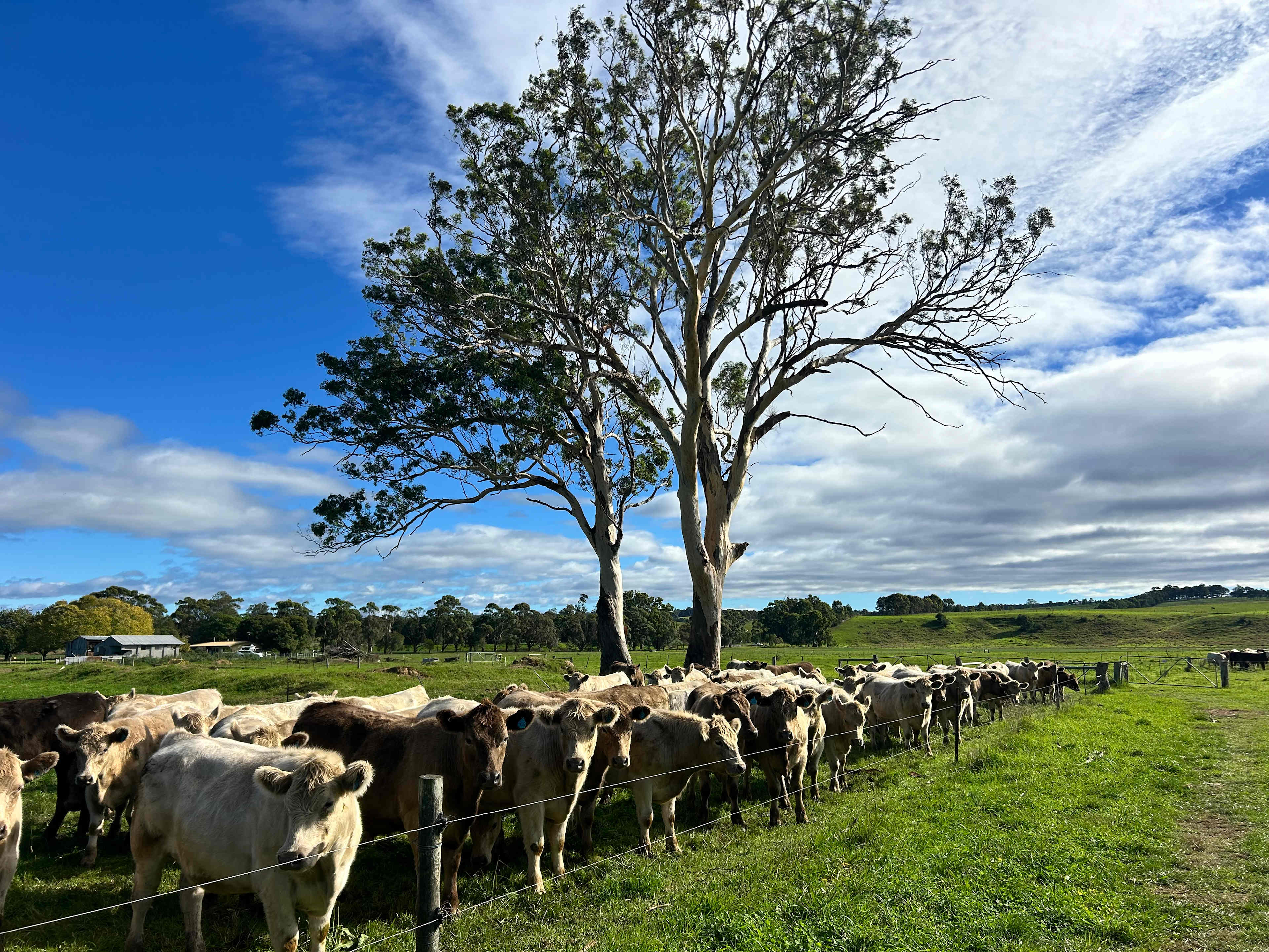 Grassvale Farm Retreat EST. 1900