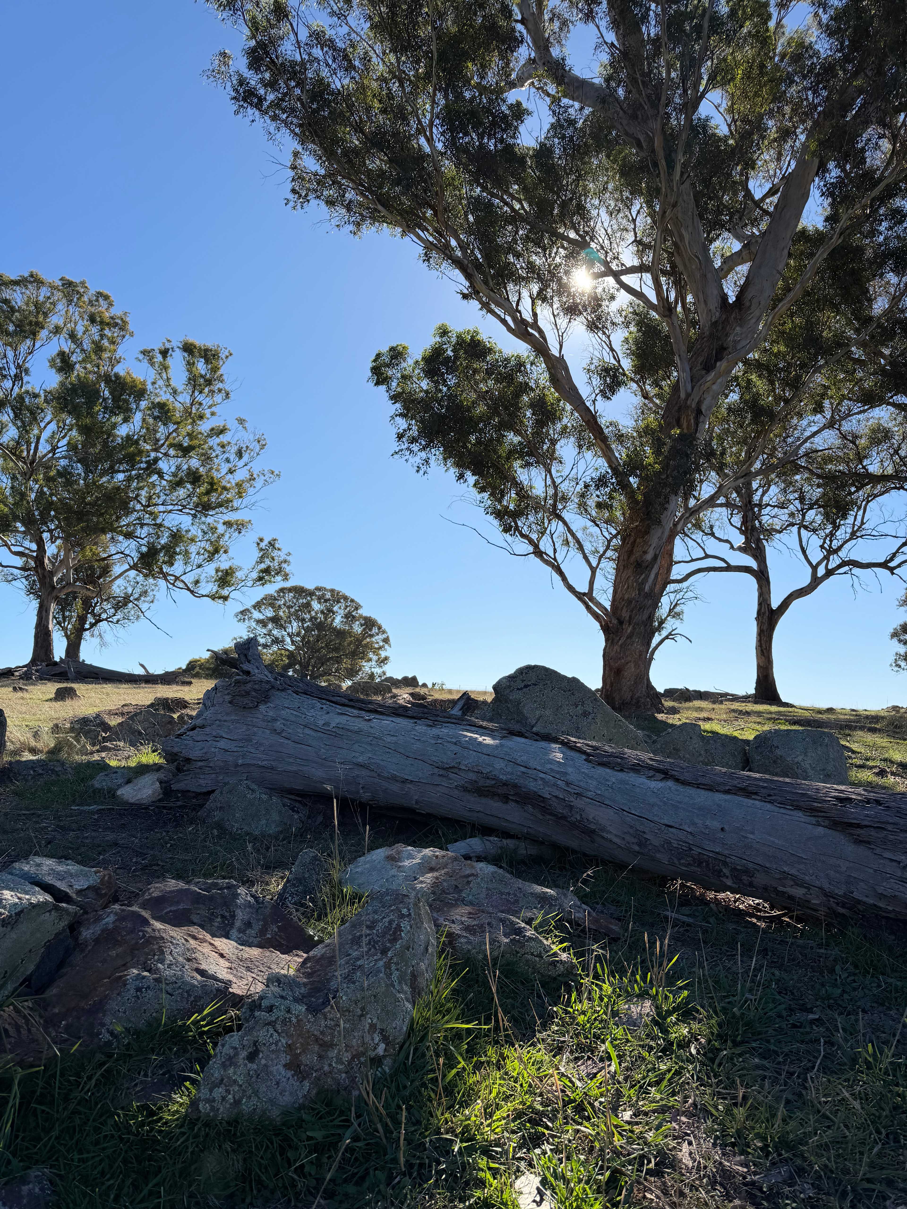 Coots Creek Campground