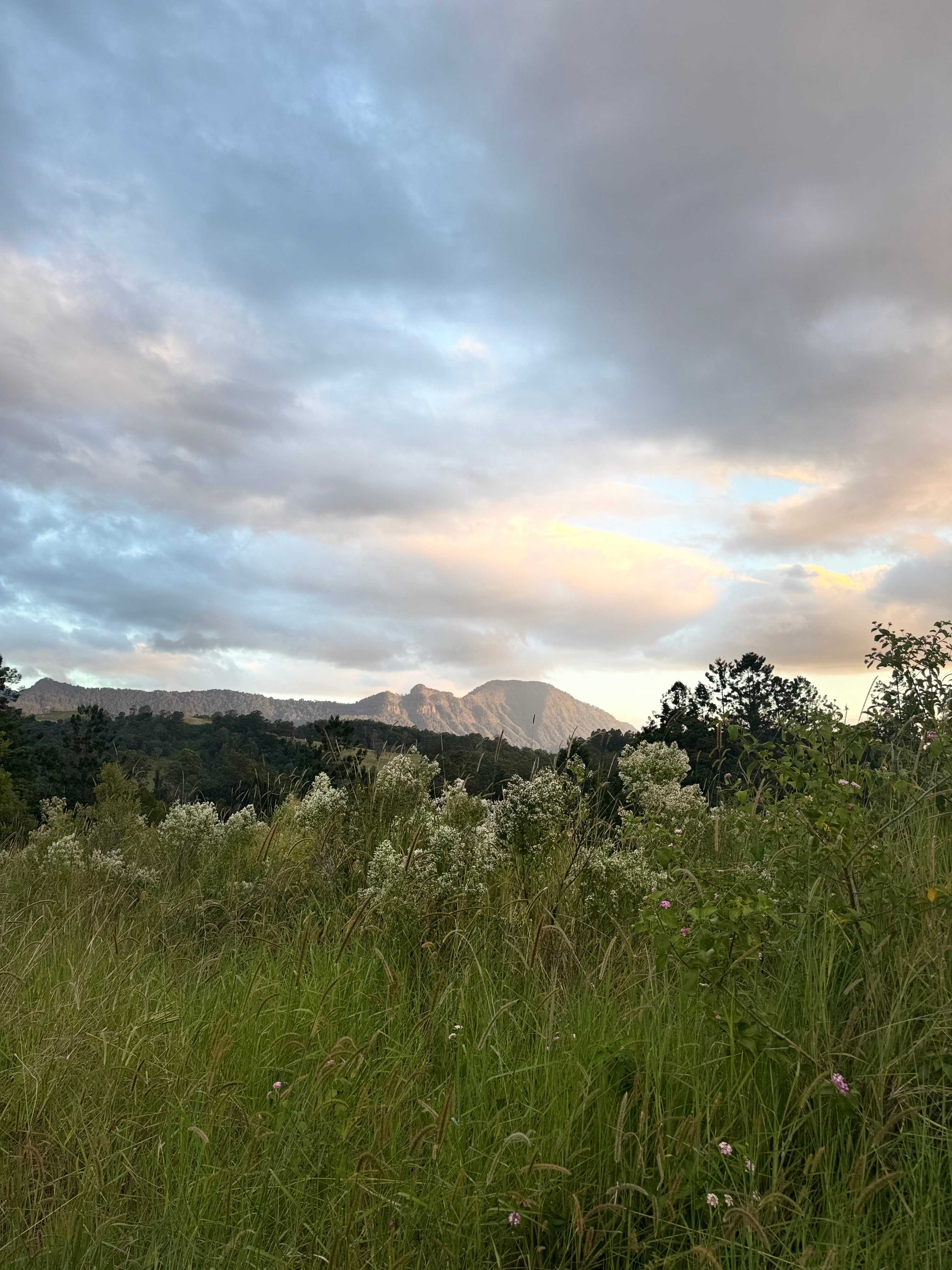 View from camp 4