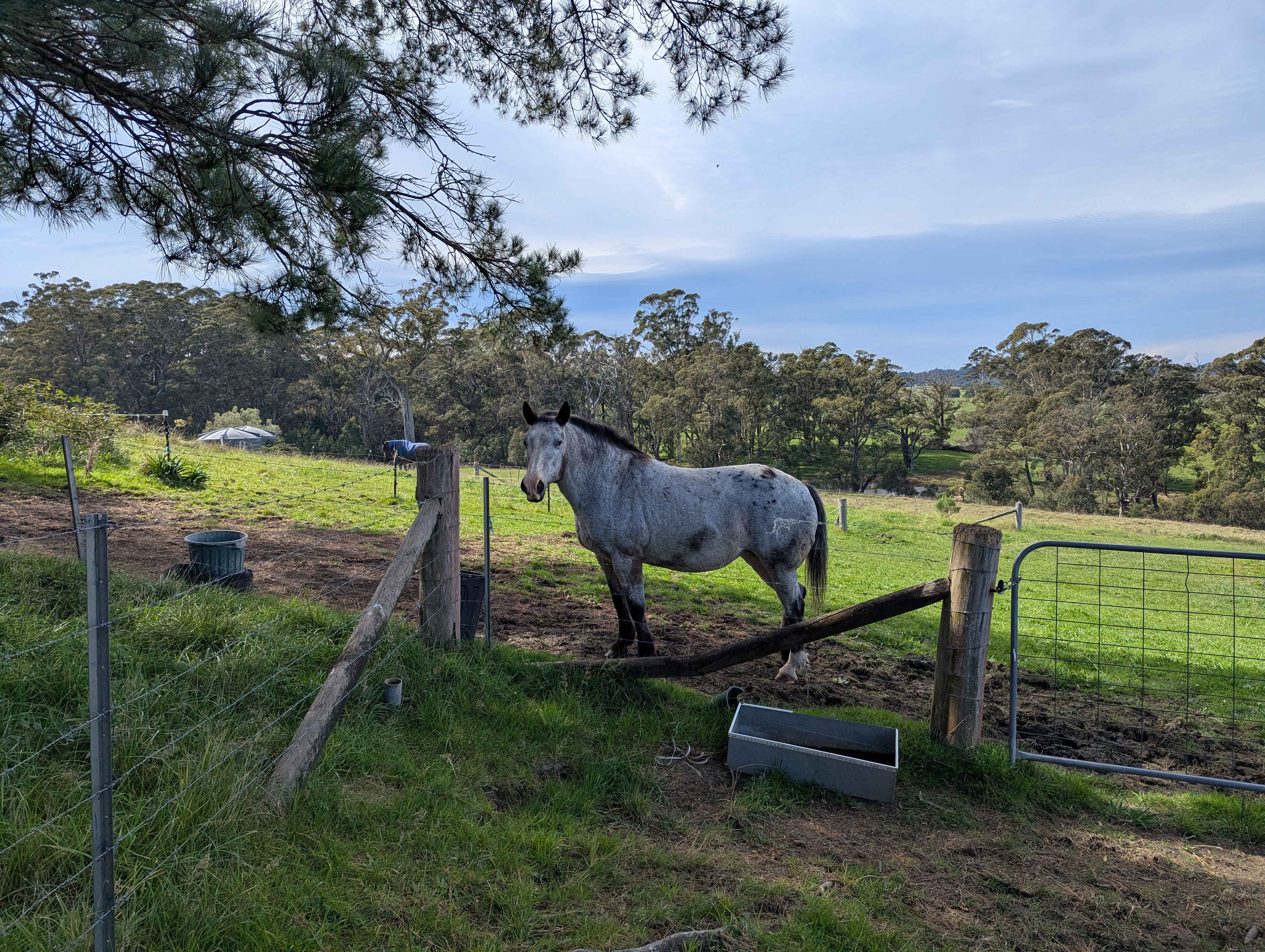 Hidden Brook Southern Highlands NSW