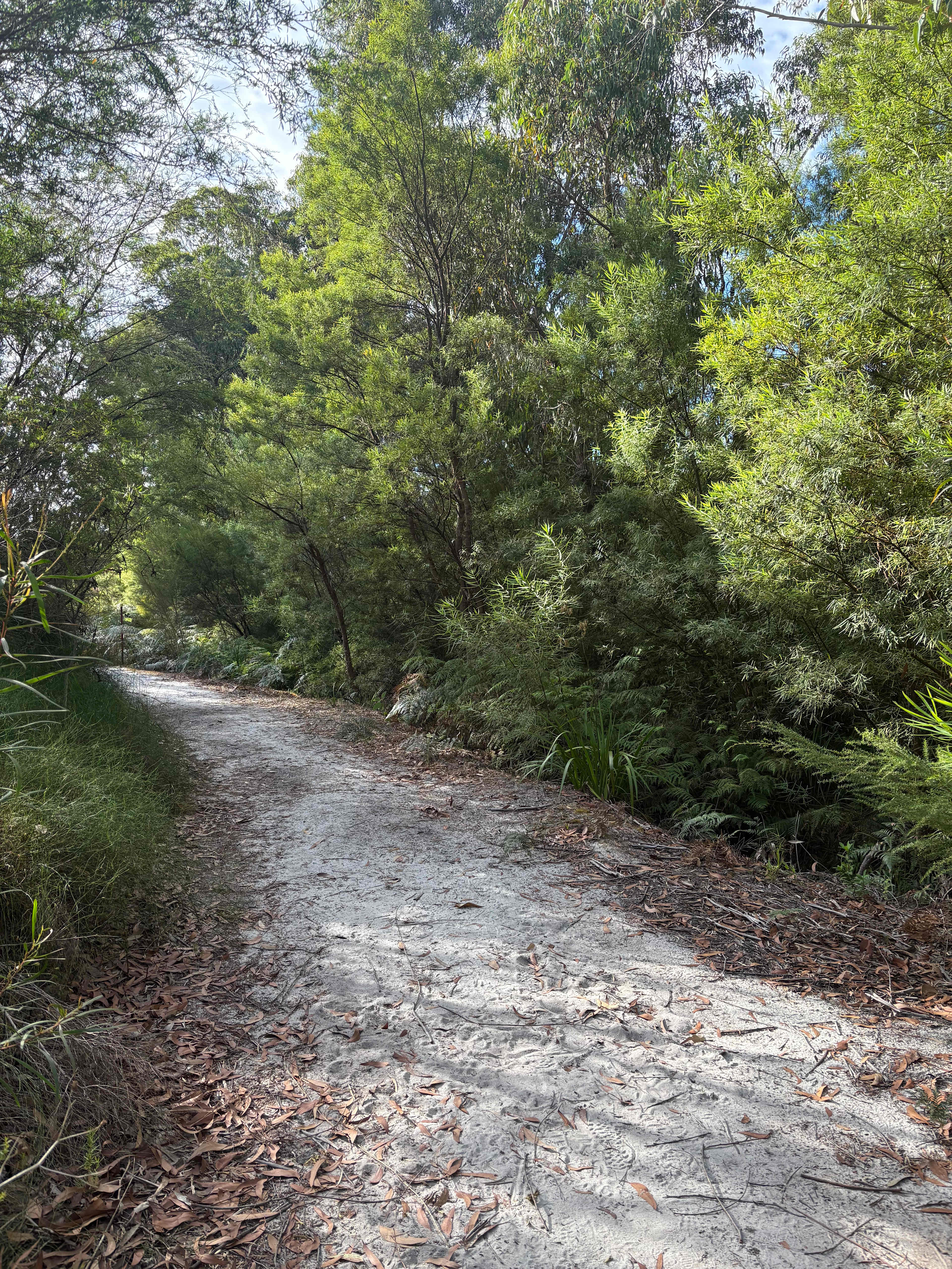 Northcliffe Deluxe Bush Camp