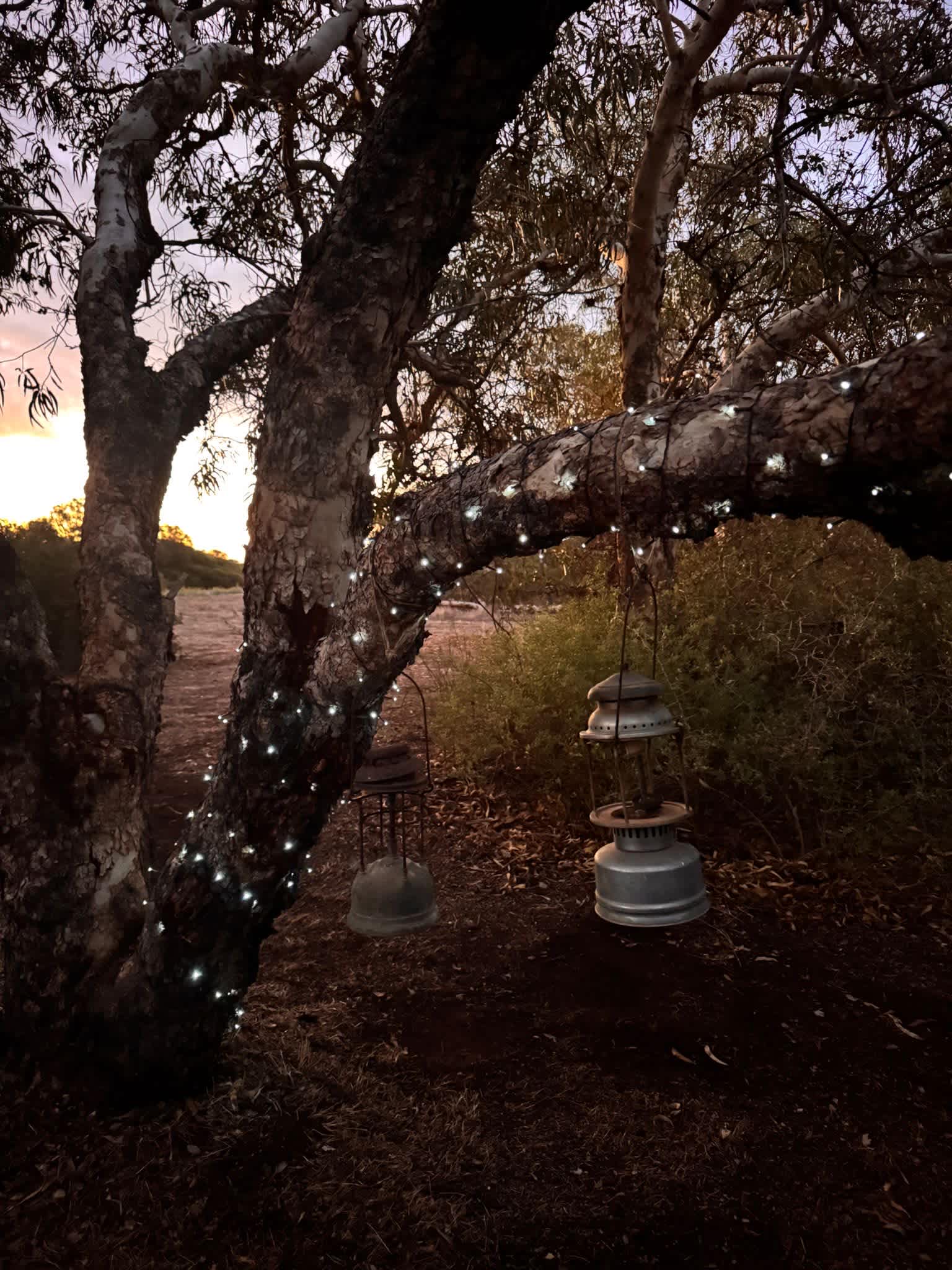 Melaleuca Hideaway