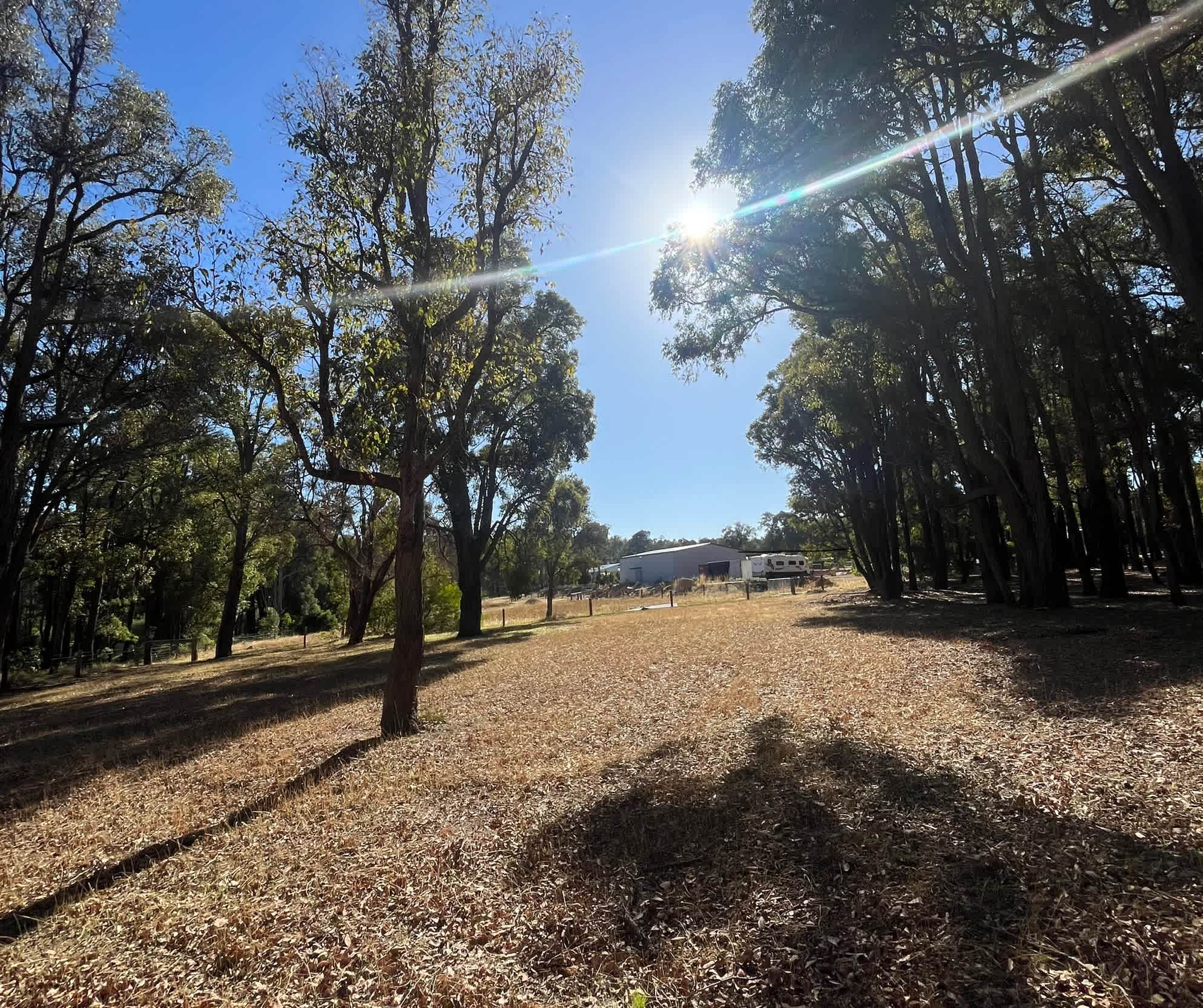 Picture of the site
