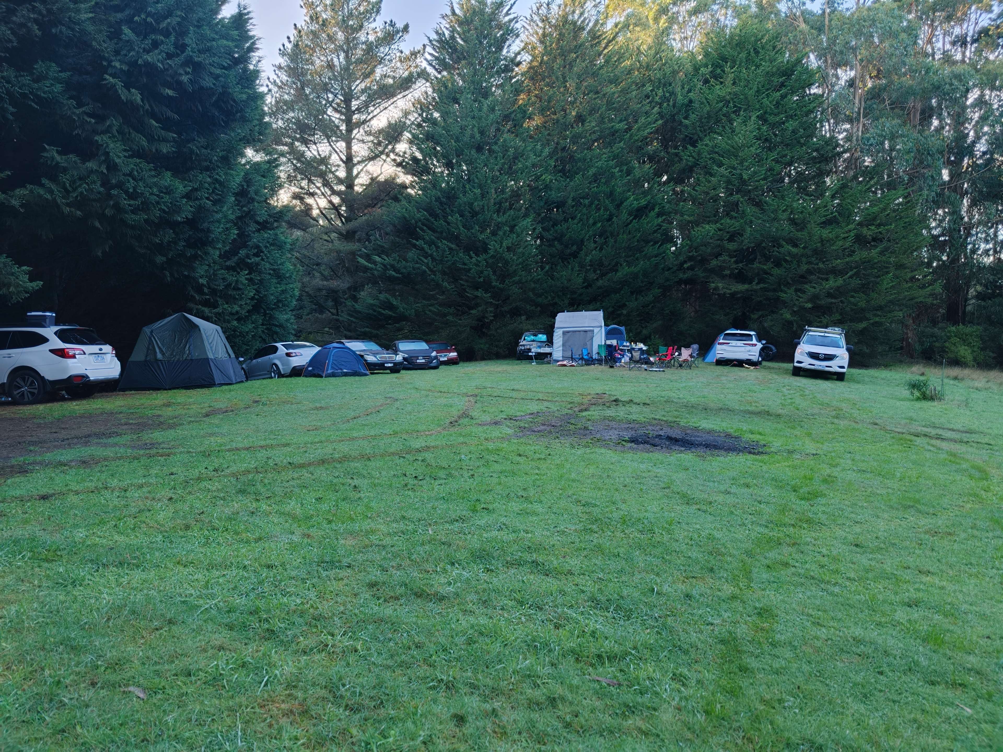 Waldheim - Our Home in the Forest