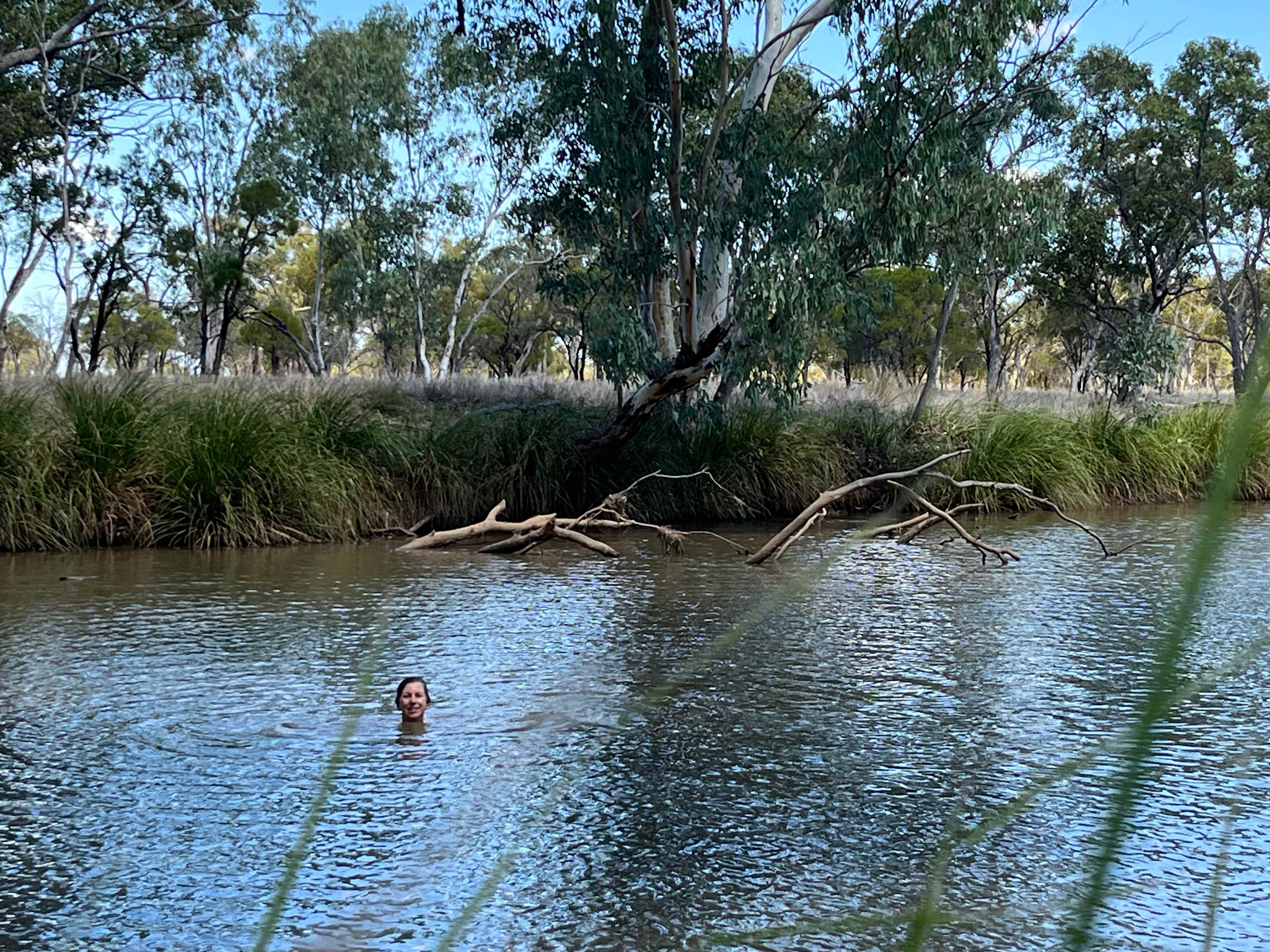 Waterhole Swim