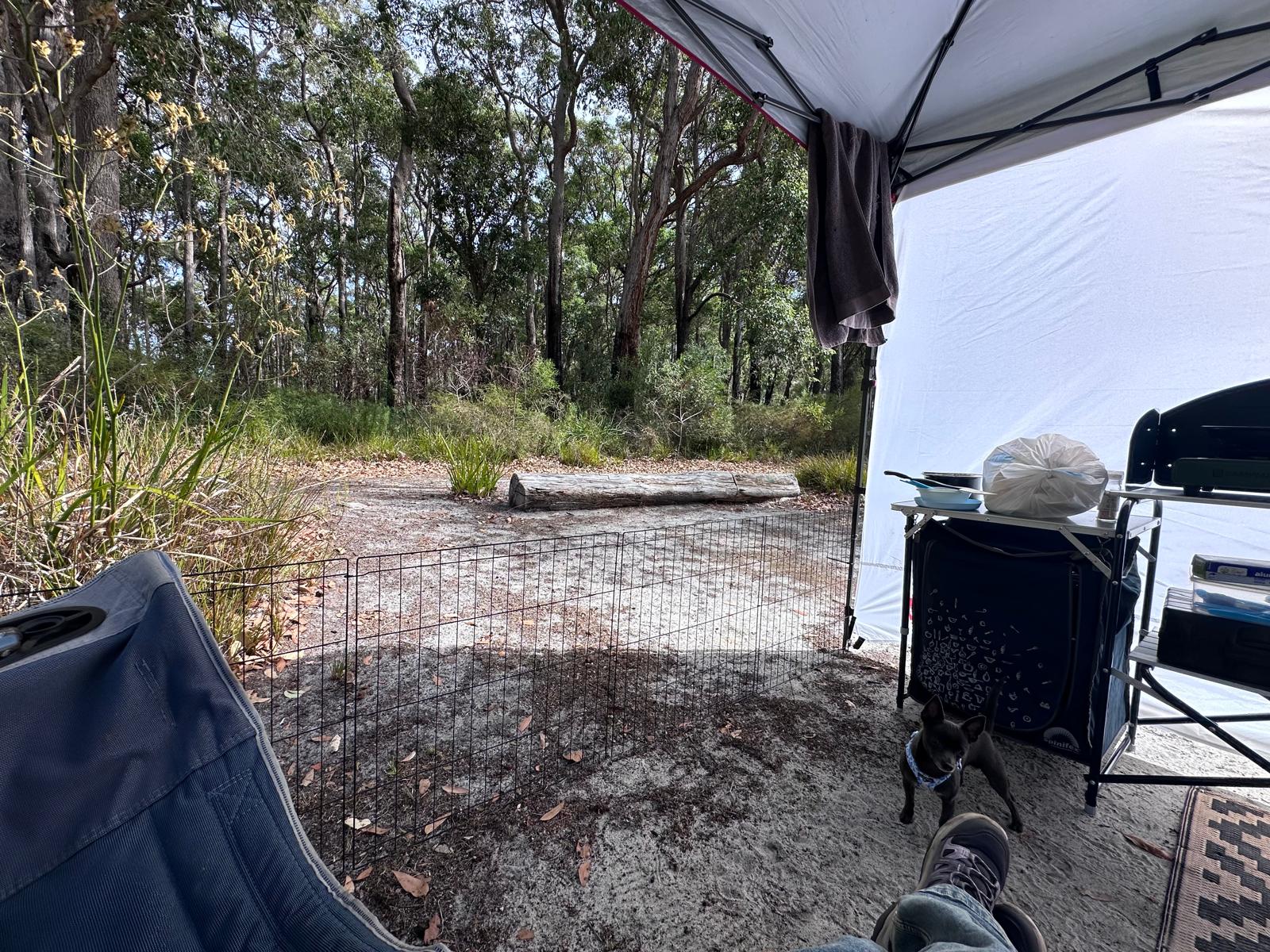 Northcliffe Deluxe Bush Camp