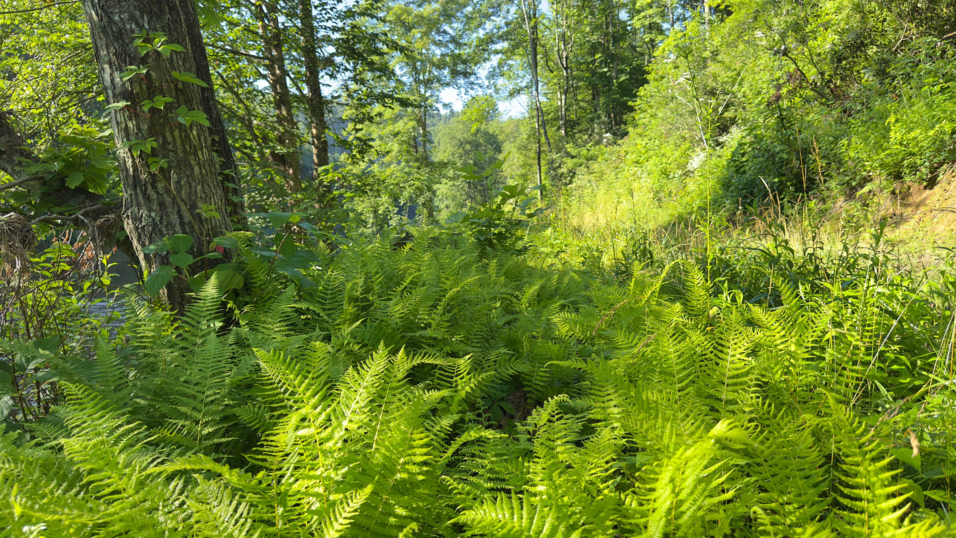 Hidden River Experience
