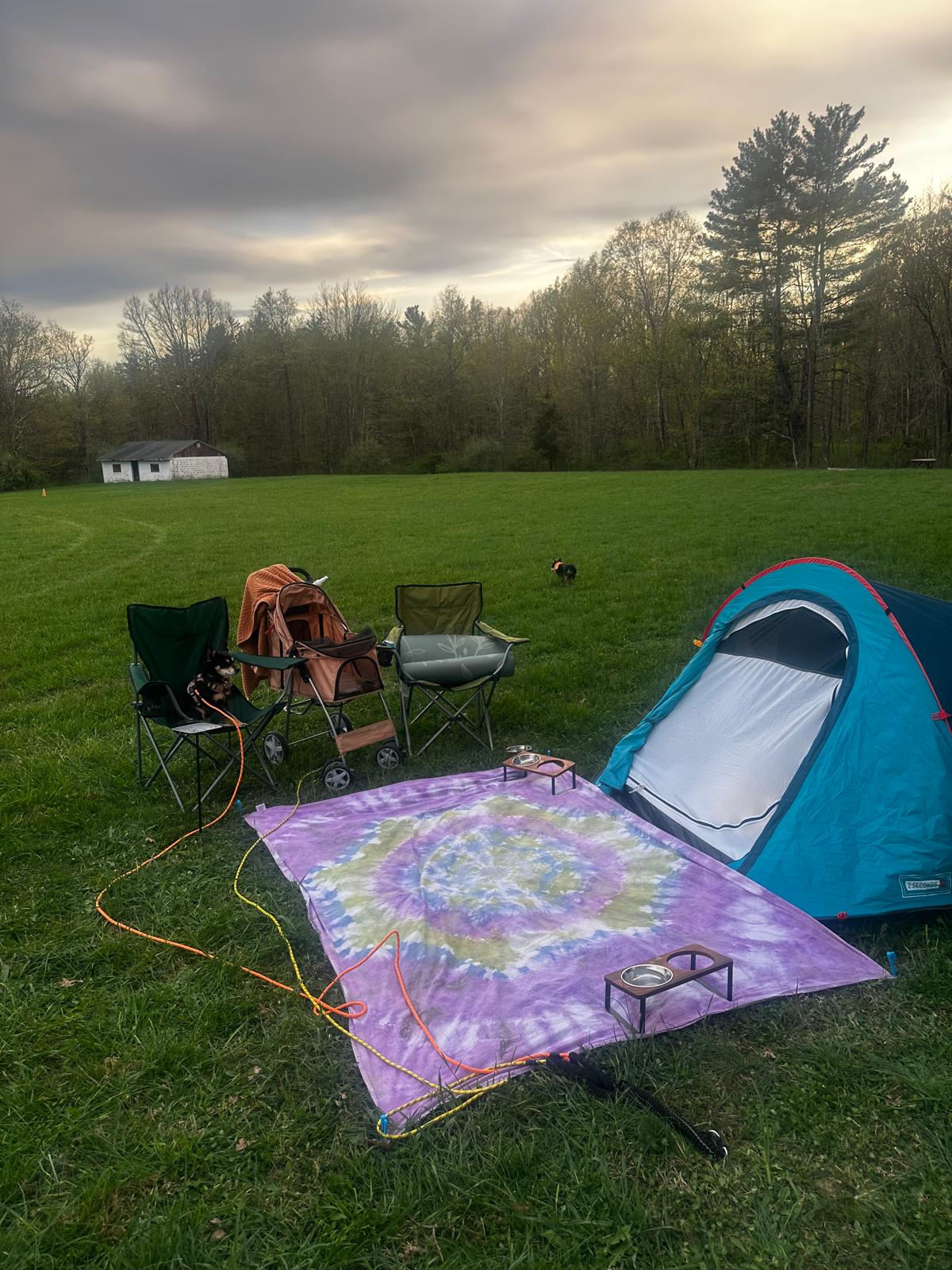 Site on the right next to the two tall trees