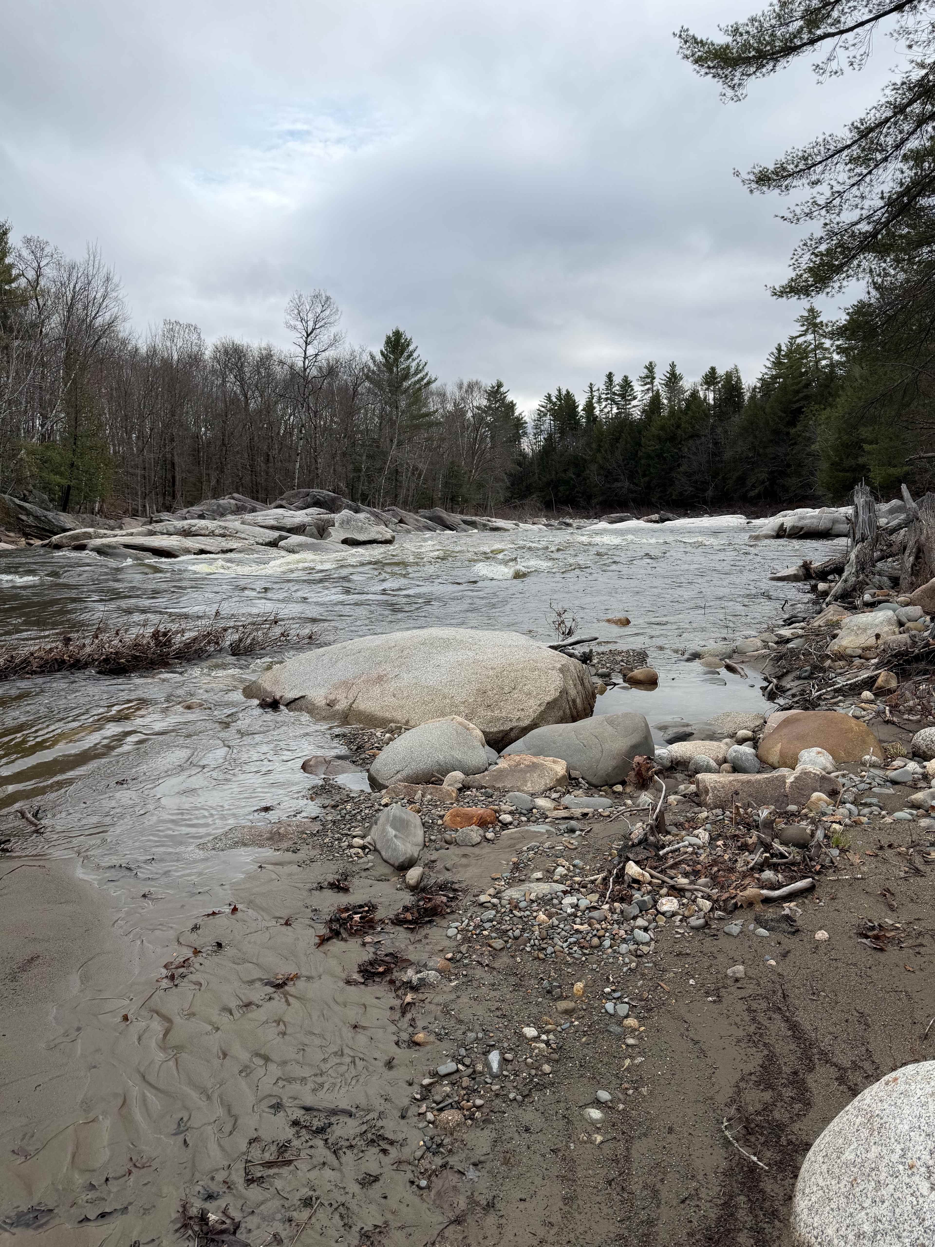 🌲 40 Acres Of Riverfront Serenity