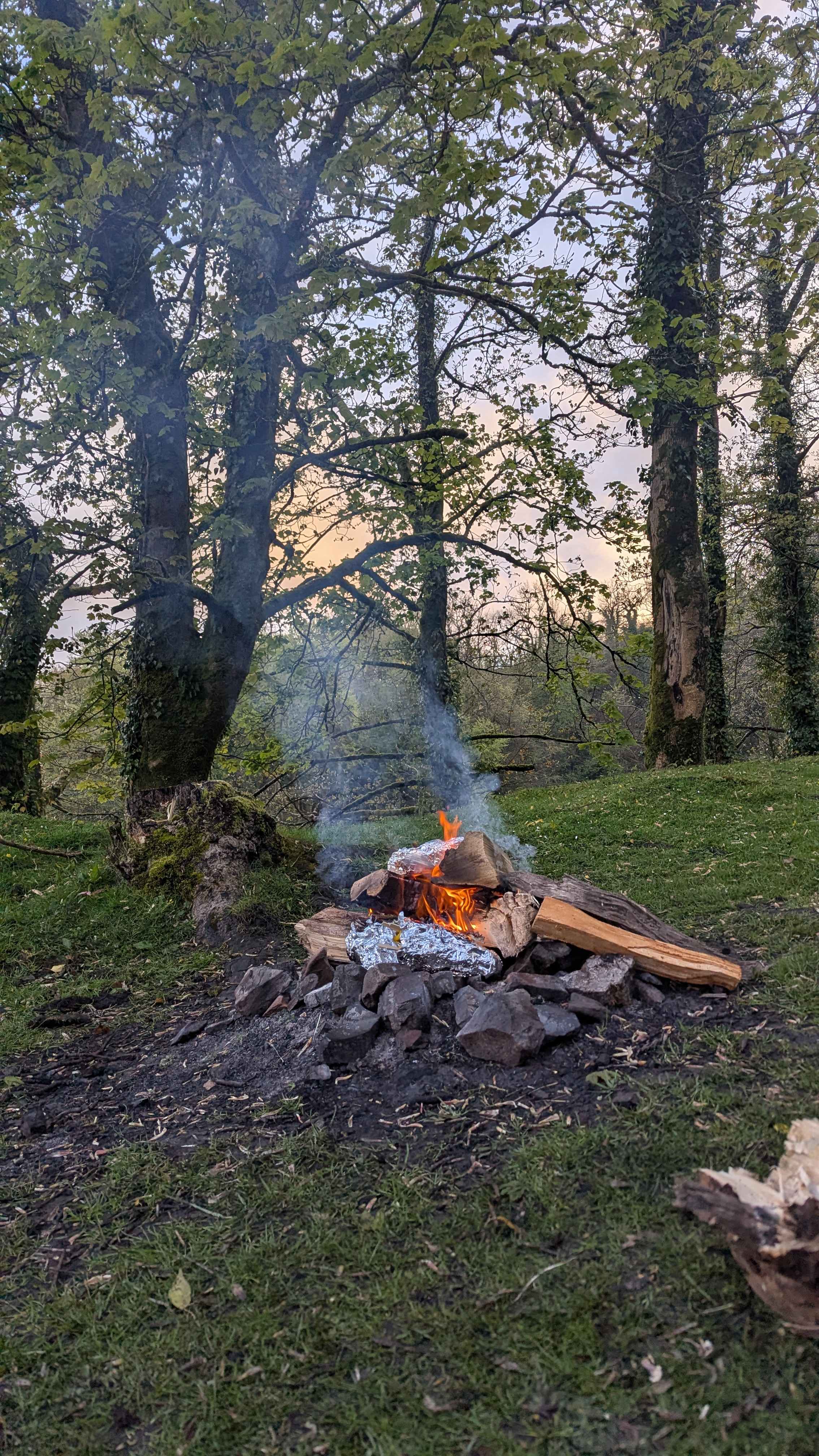 Meldon Lake and Woods Wild Camping
