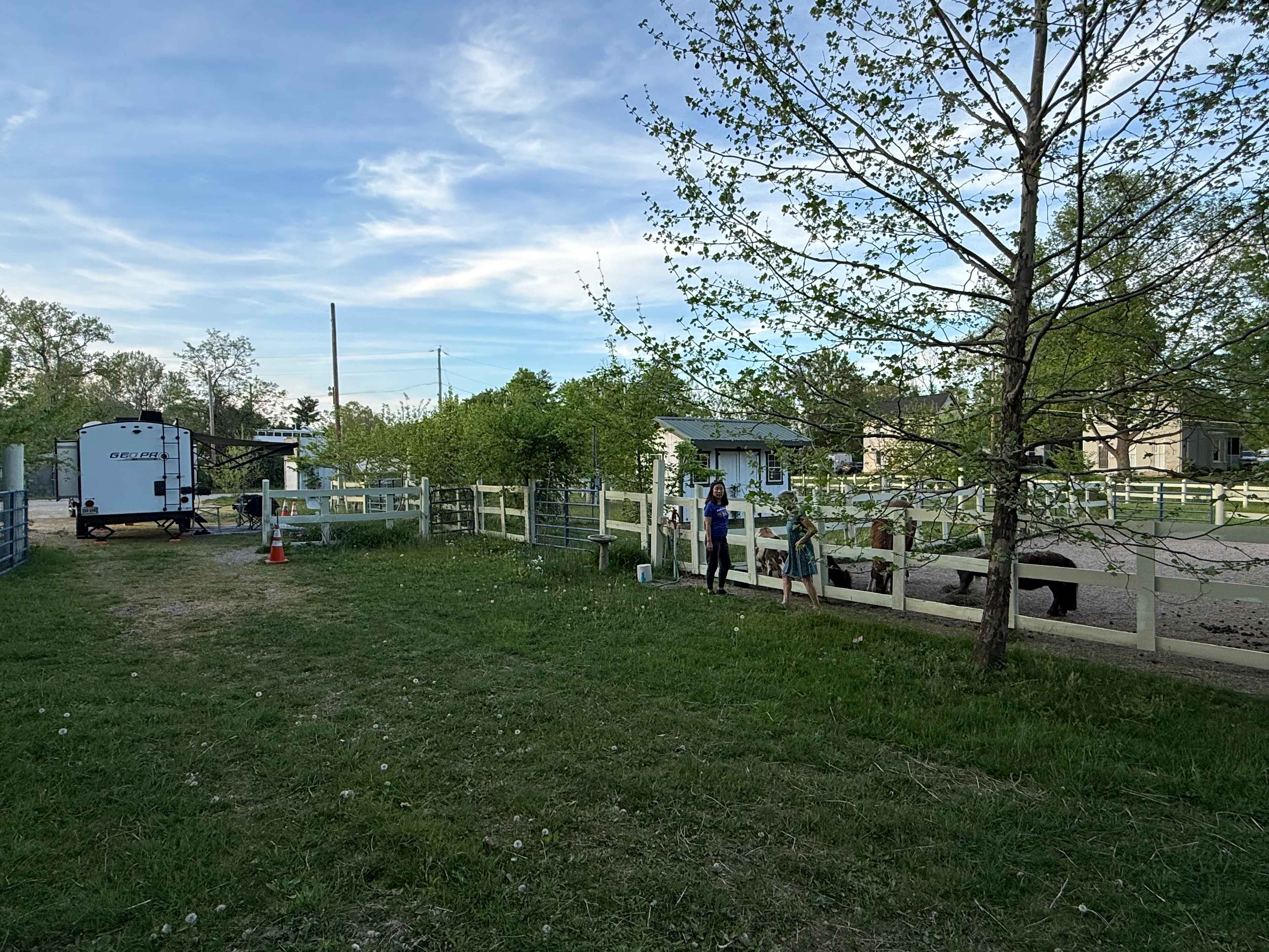 Camp site