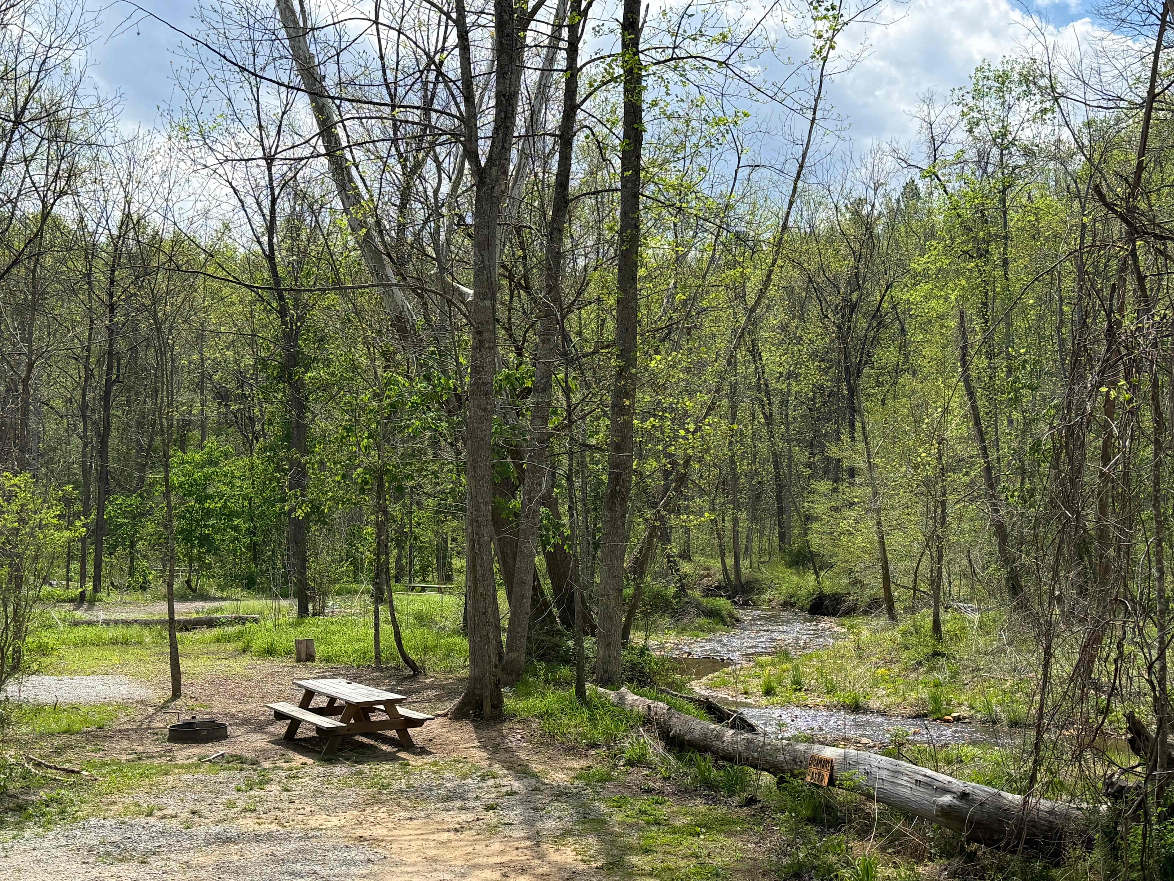 TangleWood Creekside Campsites