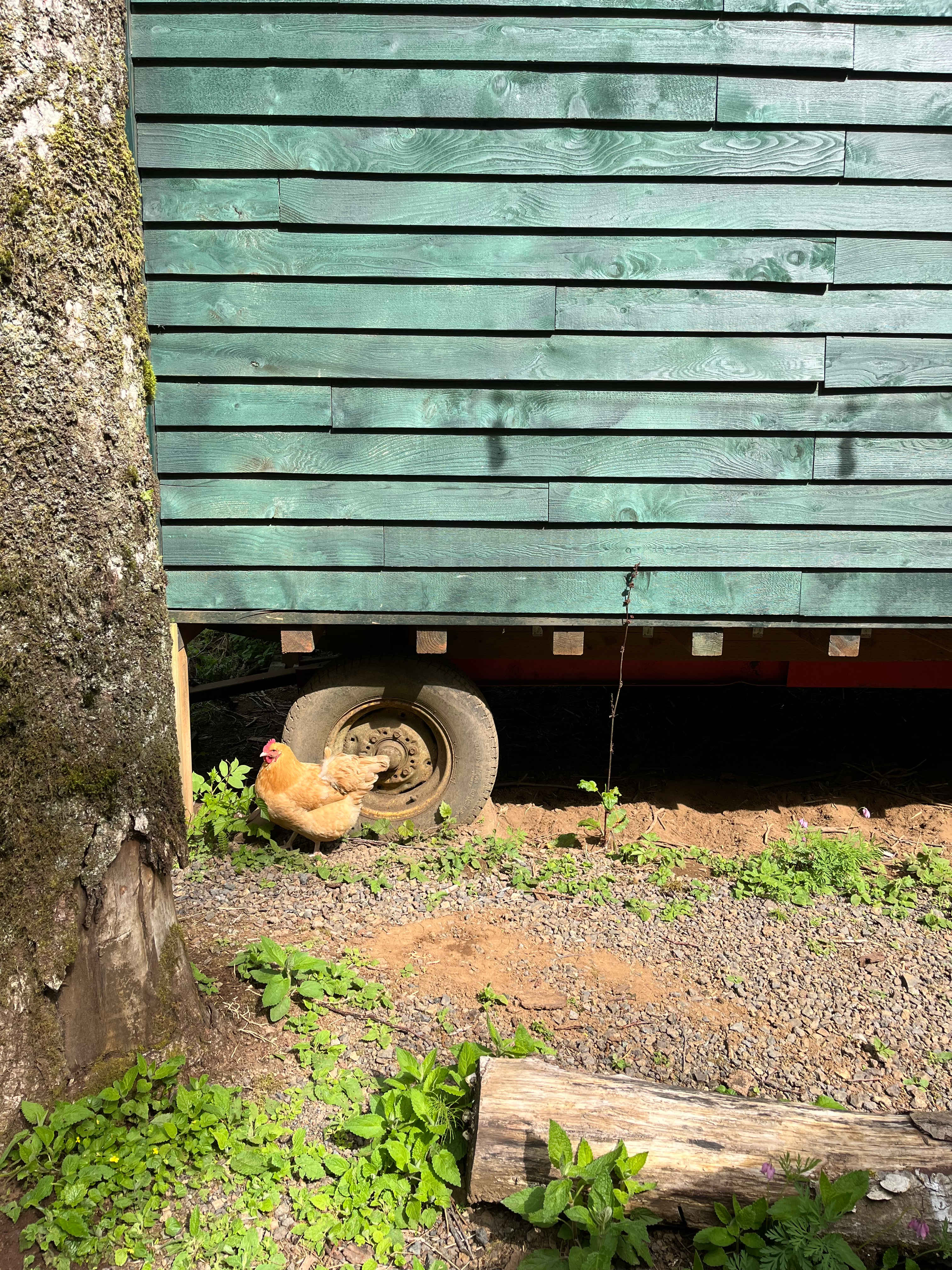 Kilchis River Retreat