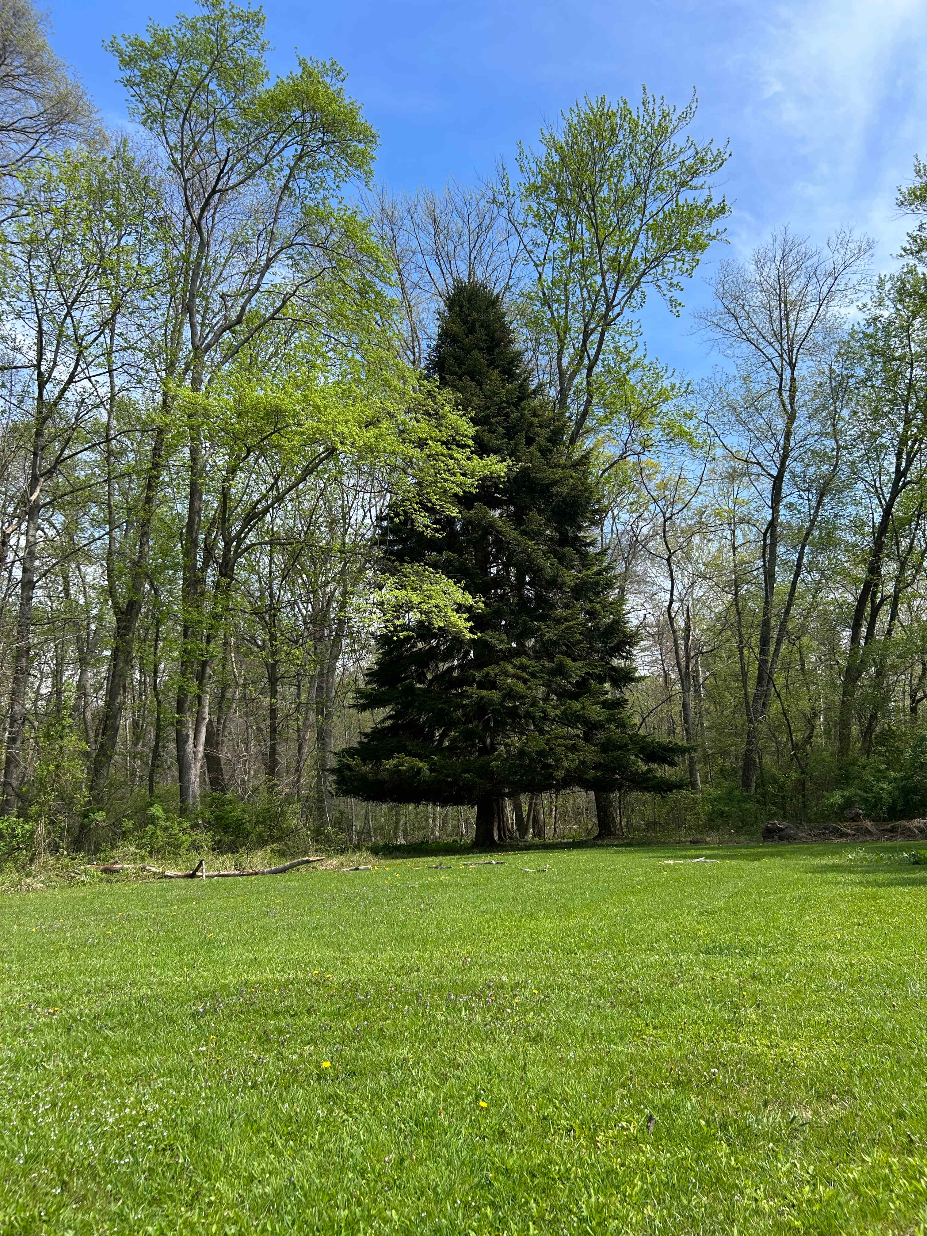 Hawkwood Farm