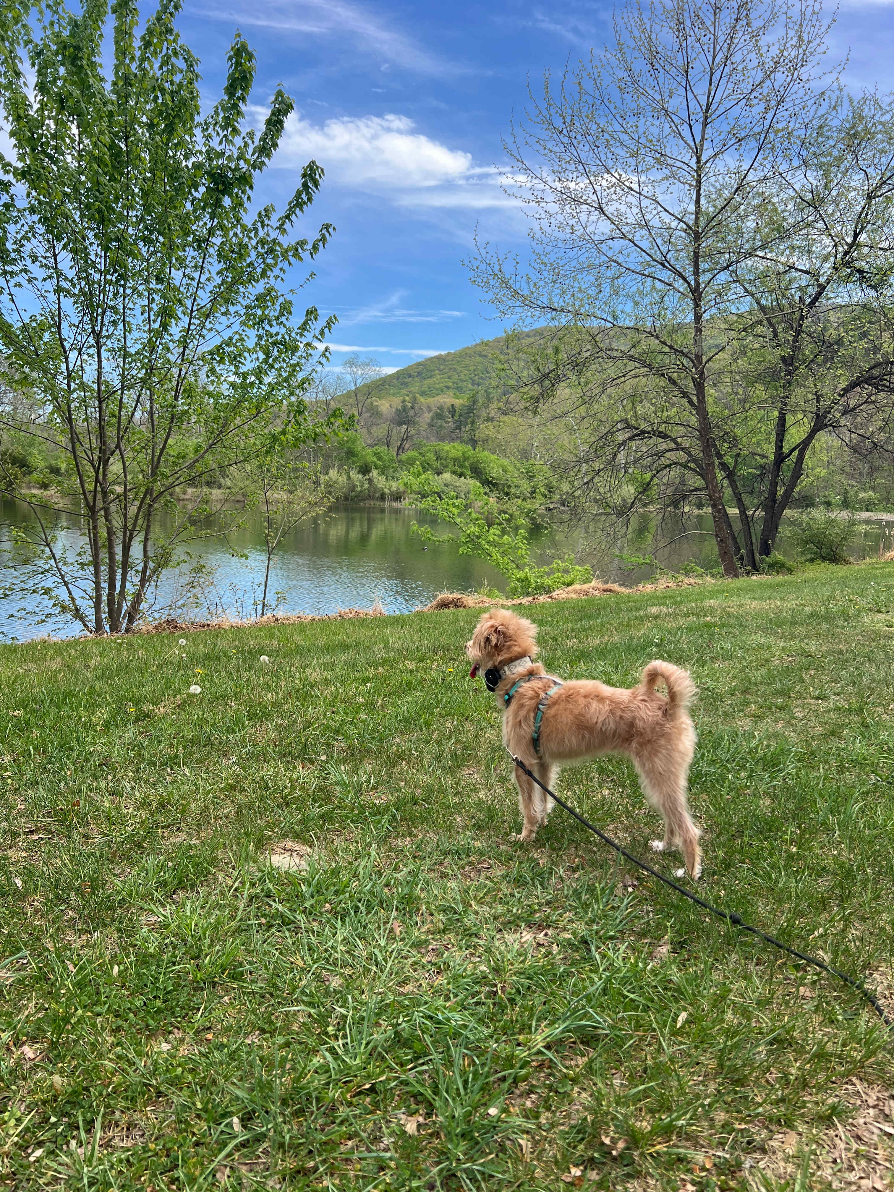 Pastimes on Passage Creek Ranch