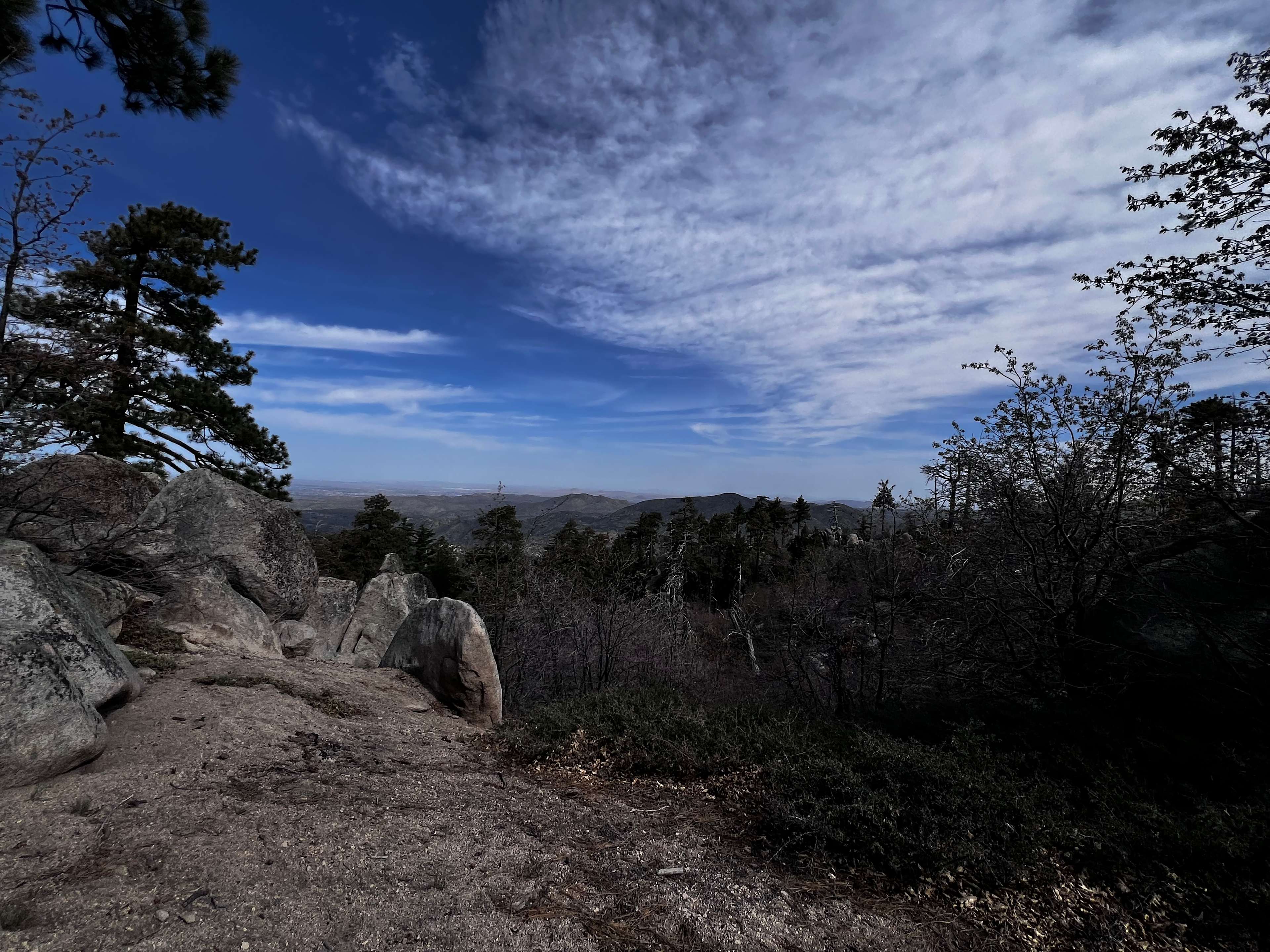 Trail right right off the backyard 