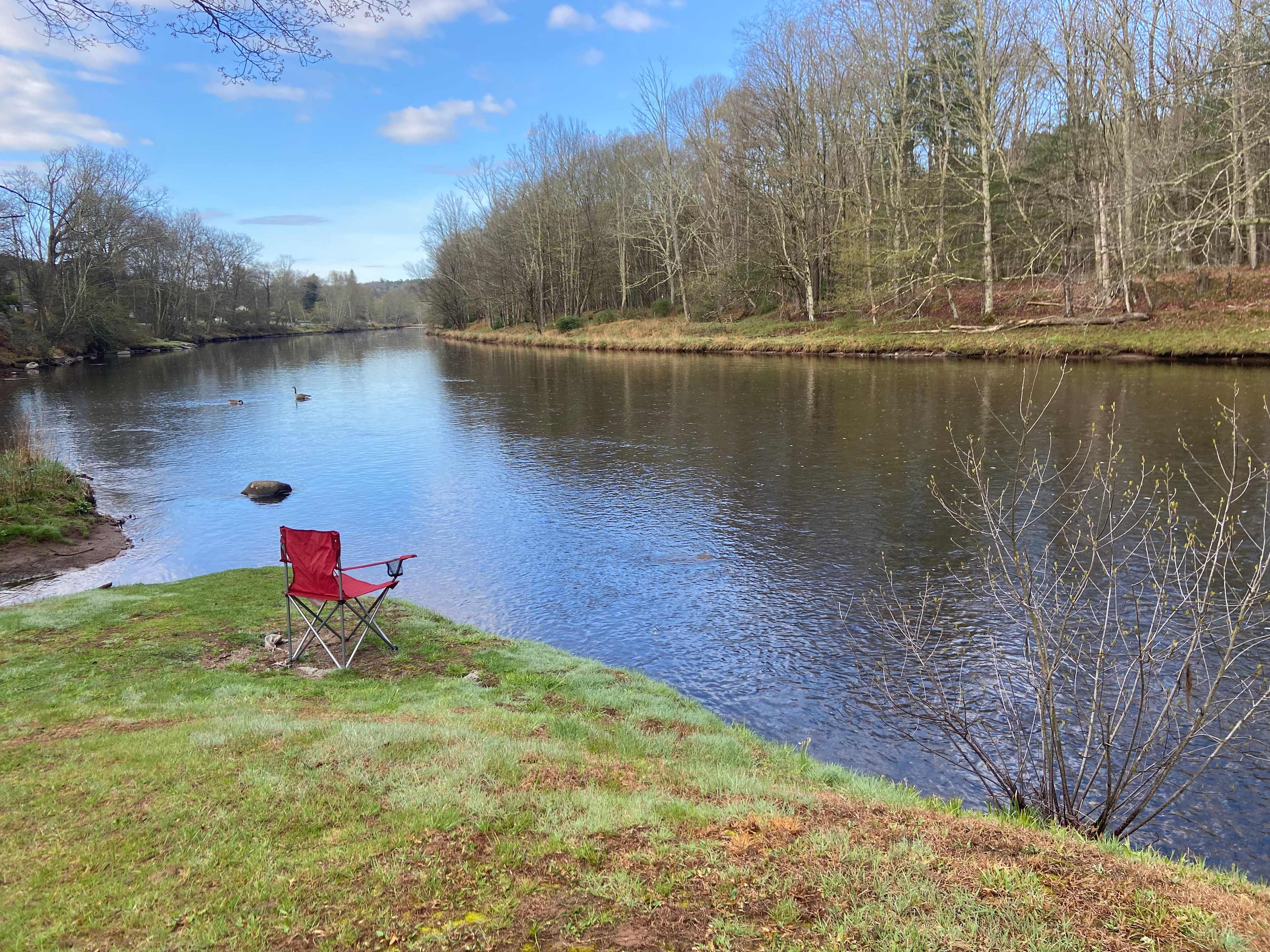 The Neversink River Isle