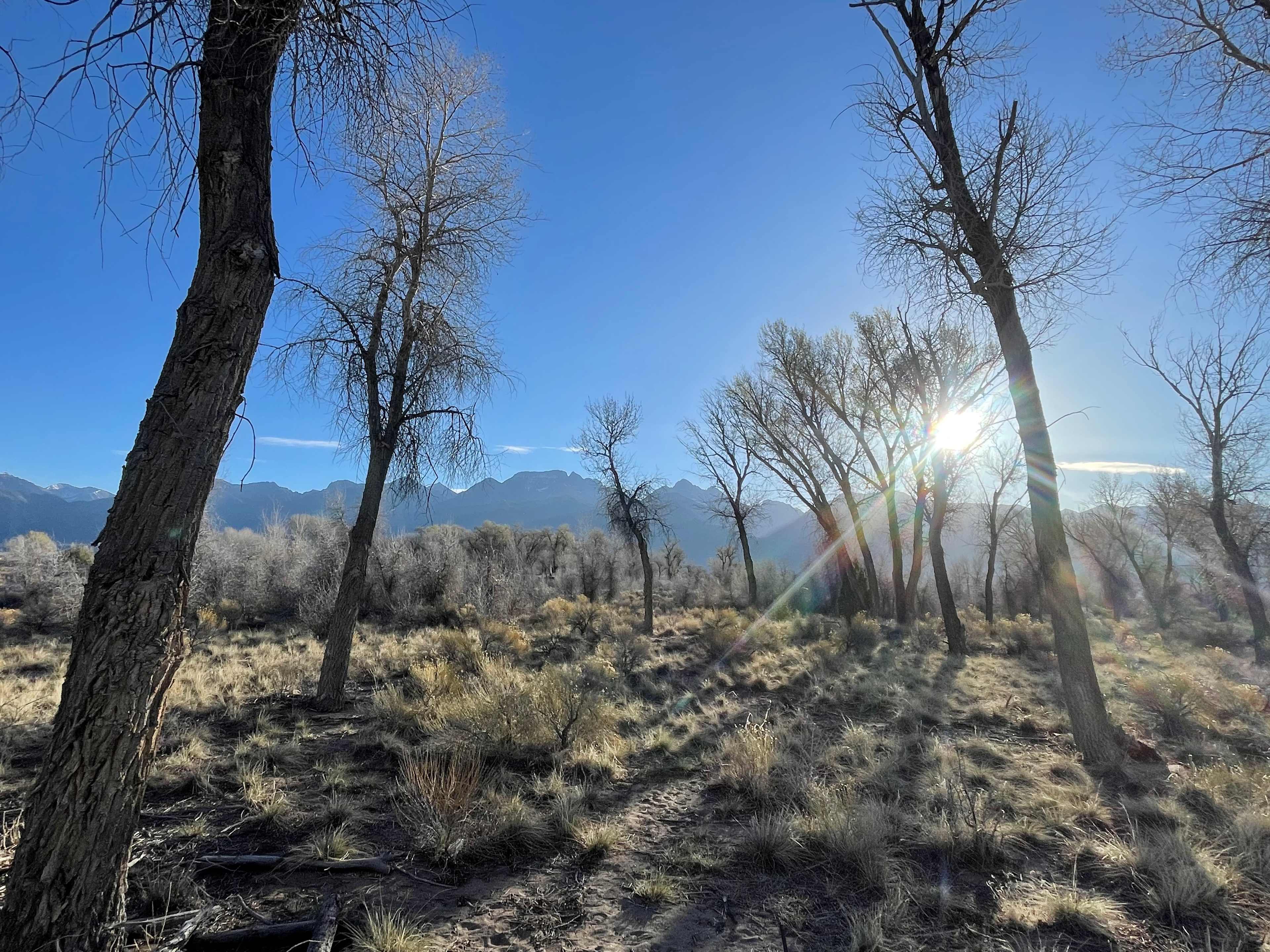 Coyote Mountain, Crestone Open Sky
