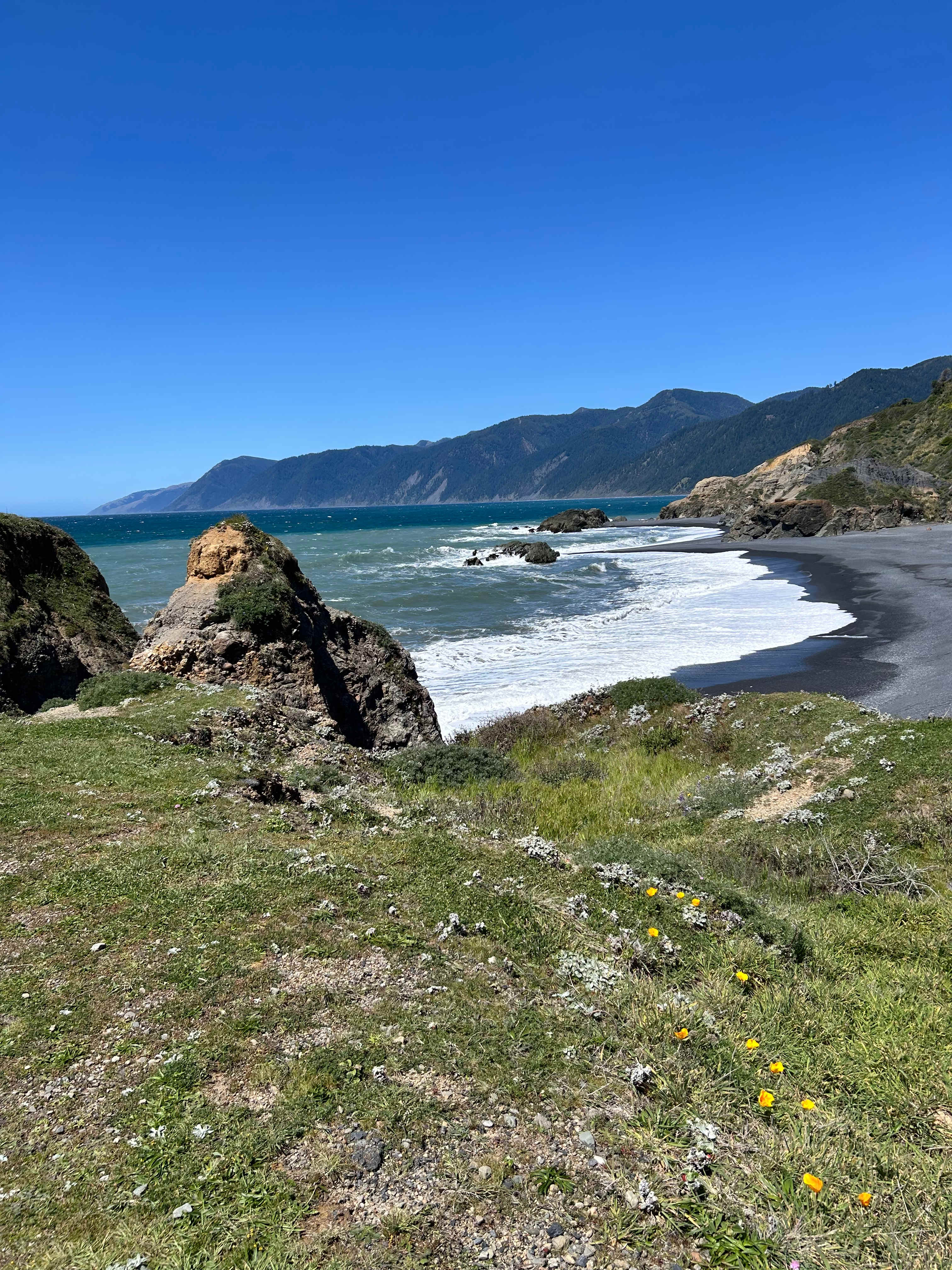 Lost Coast, Oceanview Retreat