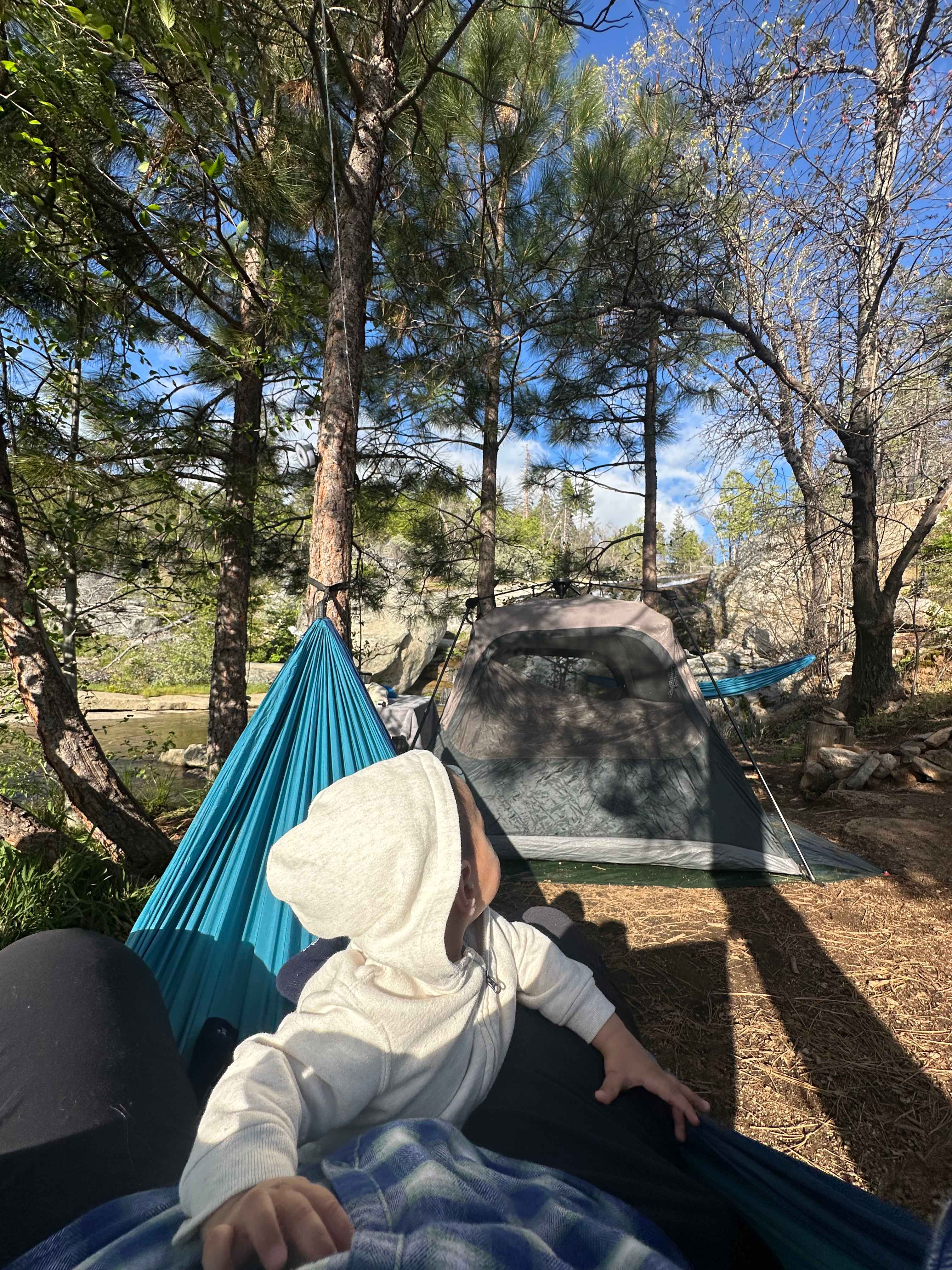 Musick Creek Falls  by Shaver Lake