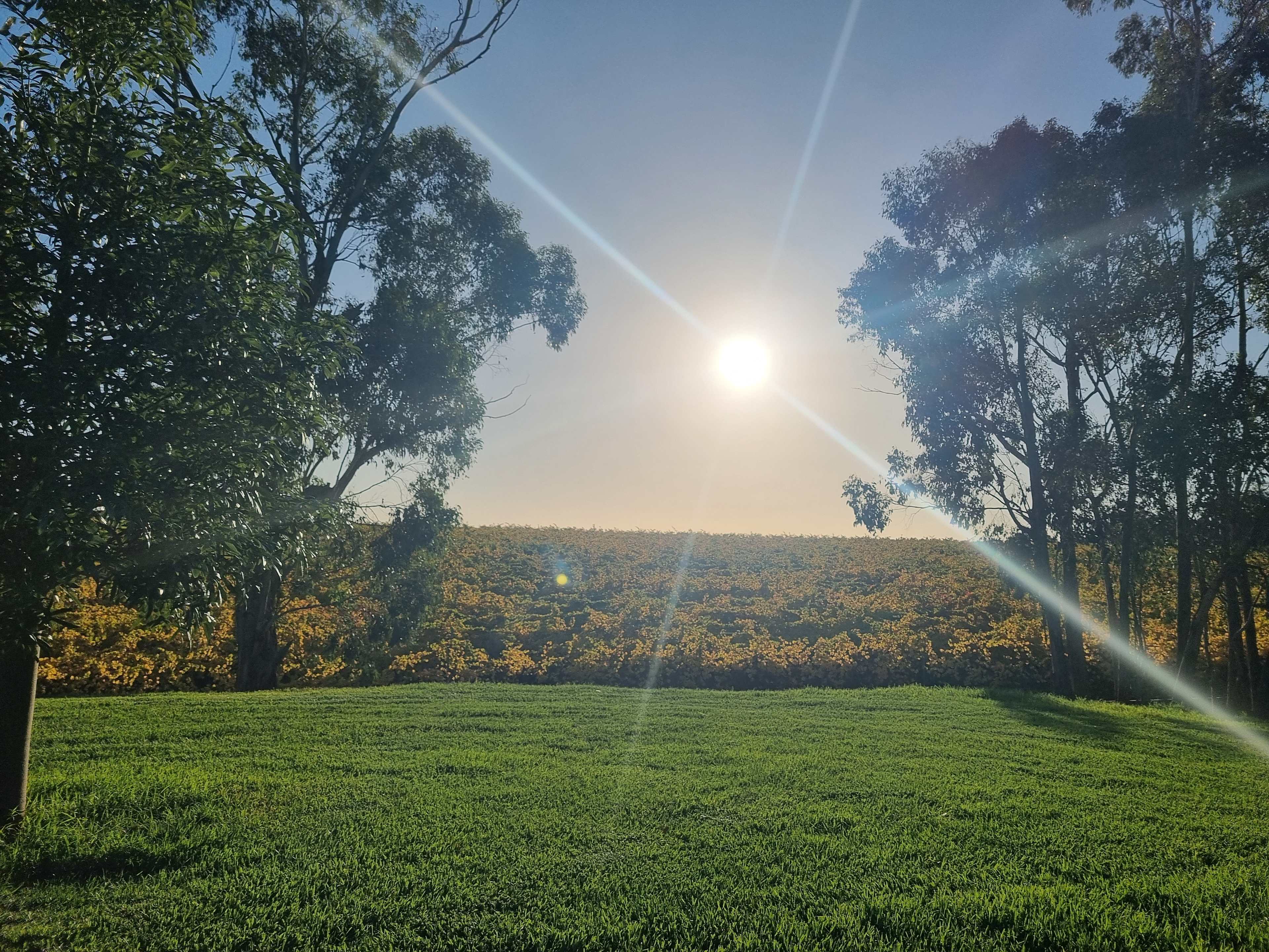 Yarra Valley Vineyard Views