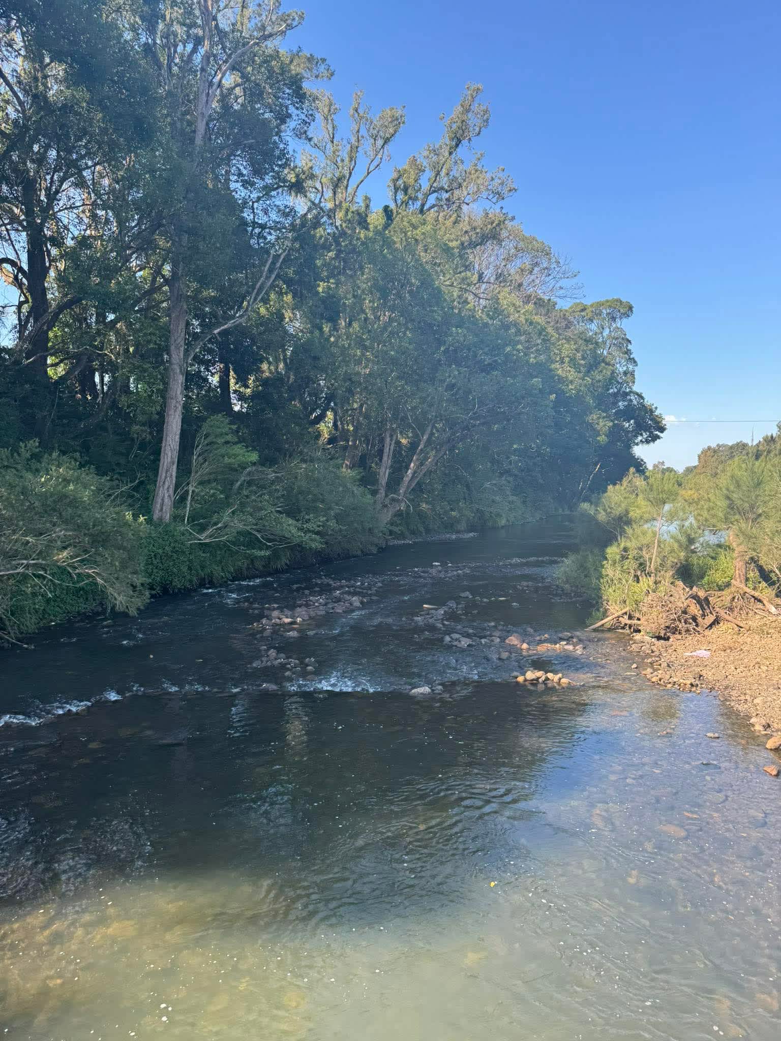 McKenzies Mountain, Wollumbin