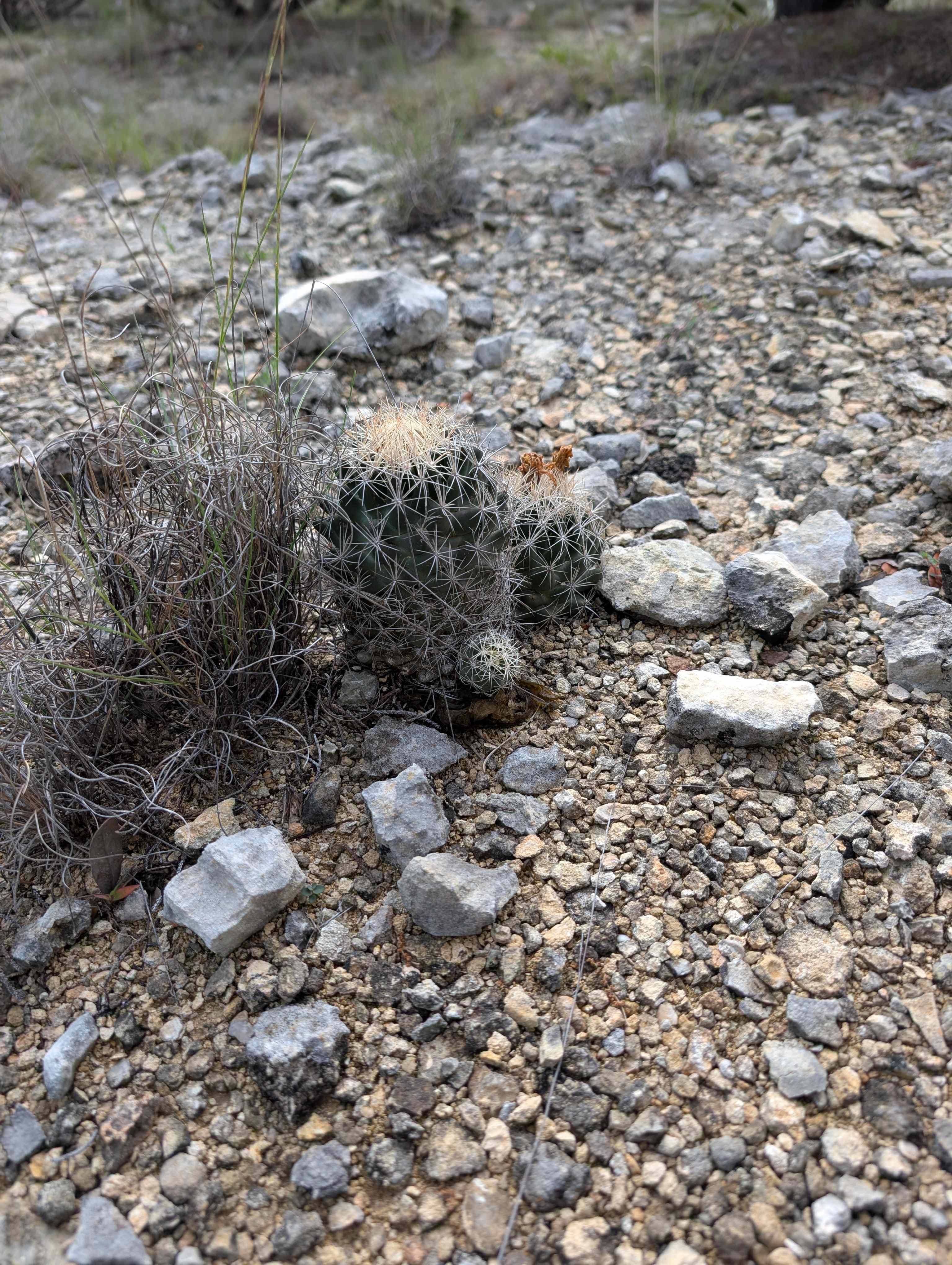 3 Dry Wells Ranch