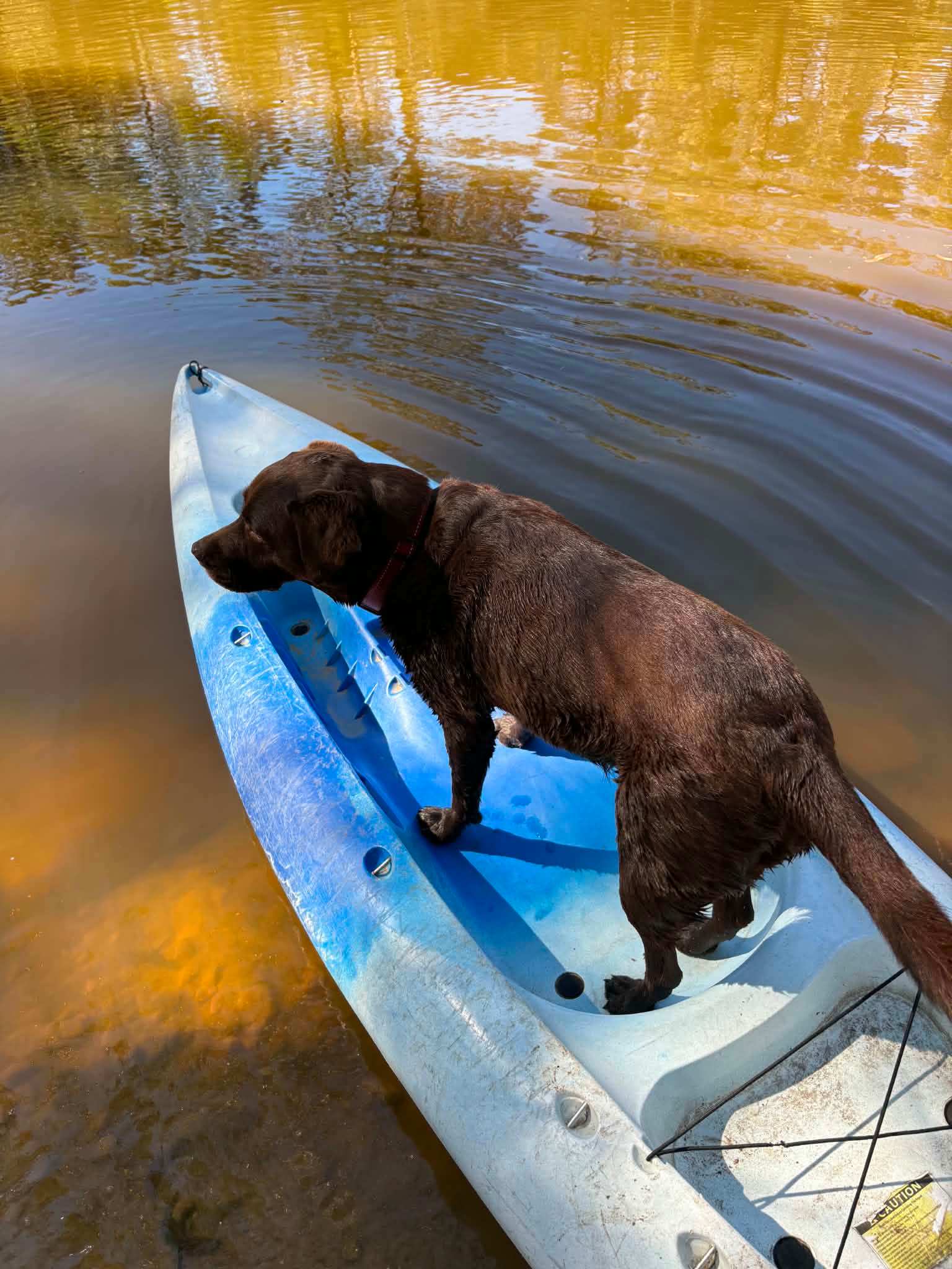 Buxton Getaway