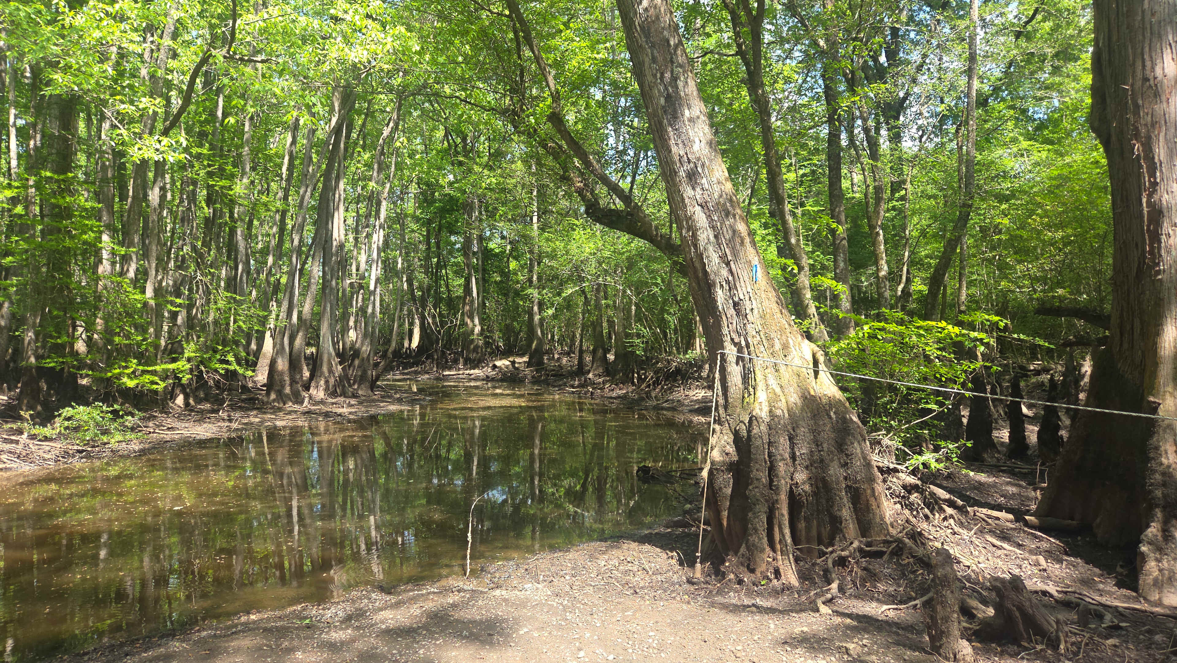 Blacks Fish Camp