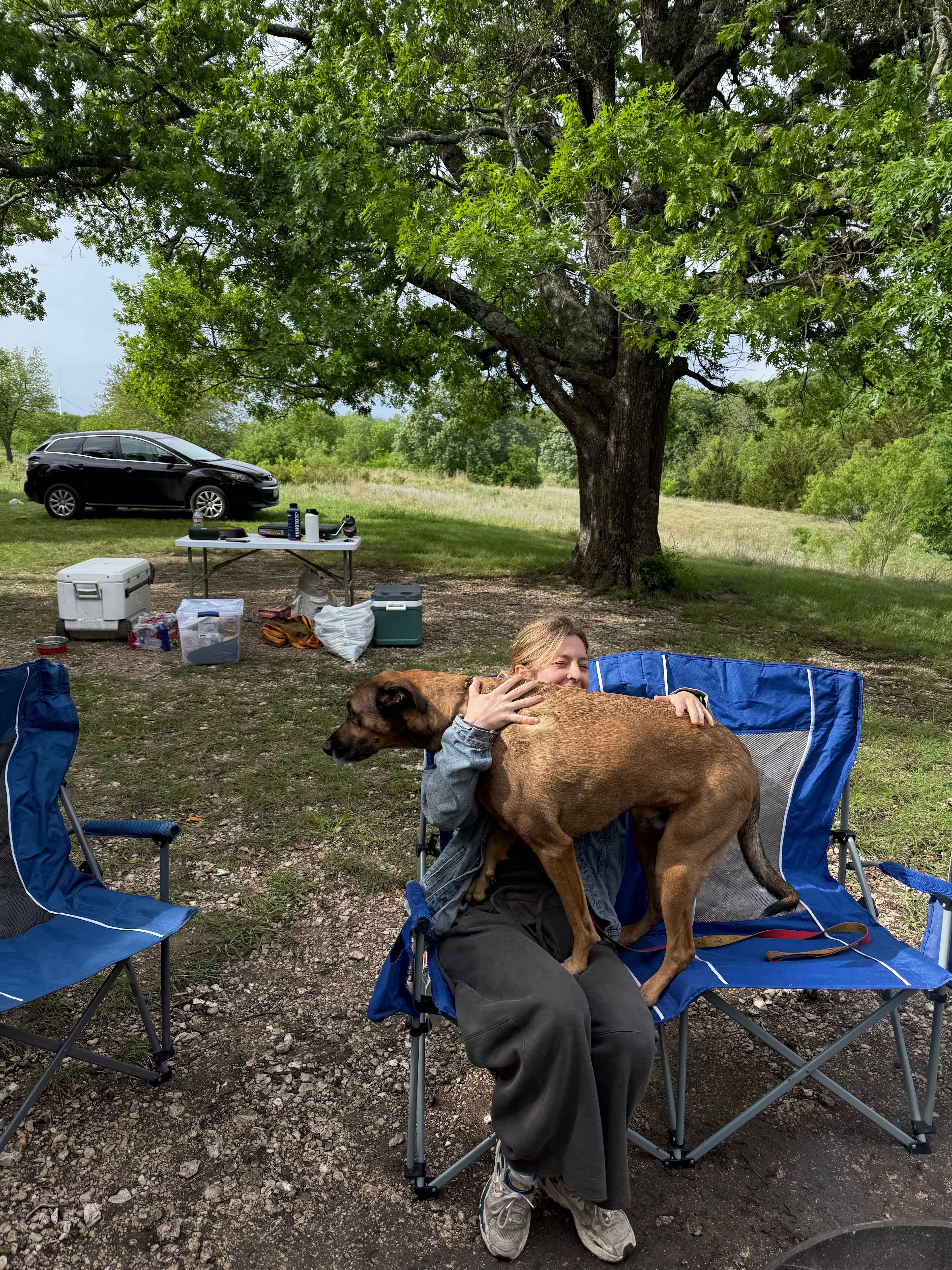 4R Ranch Winery Campsite