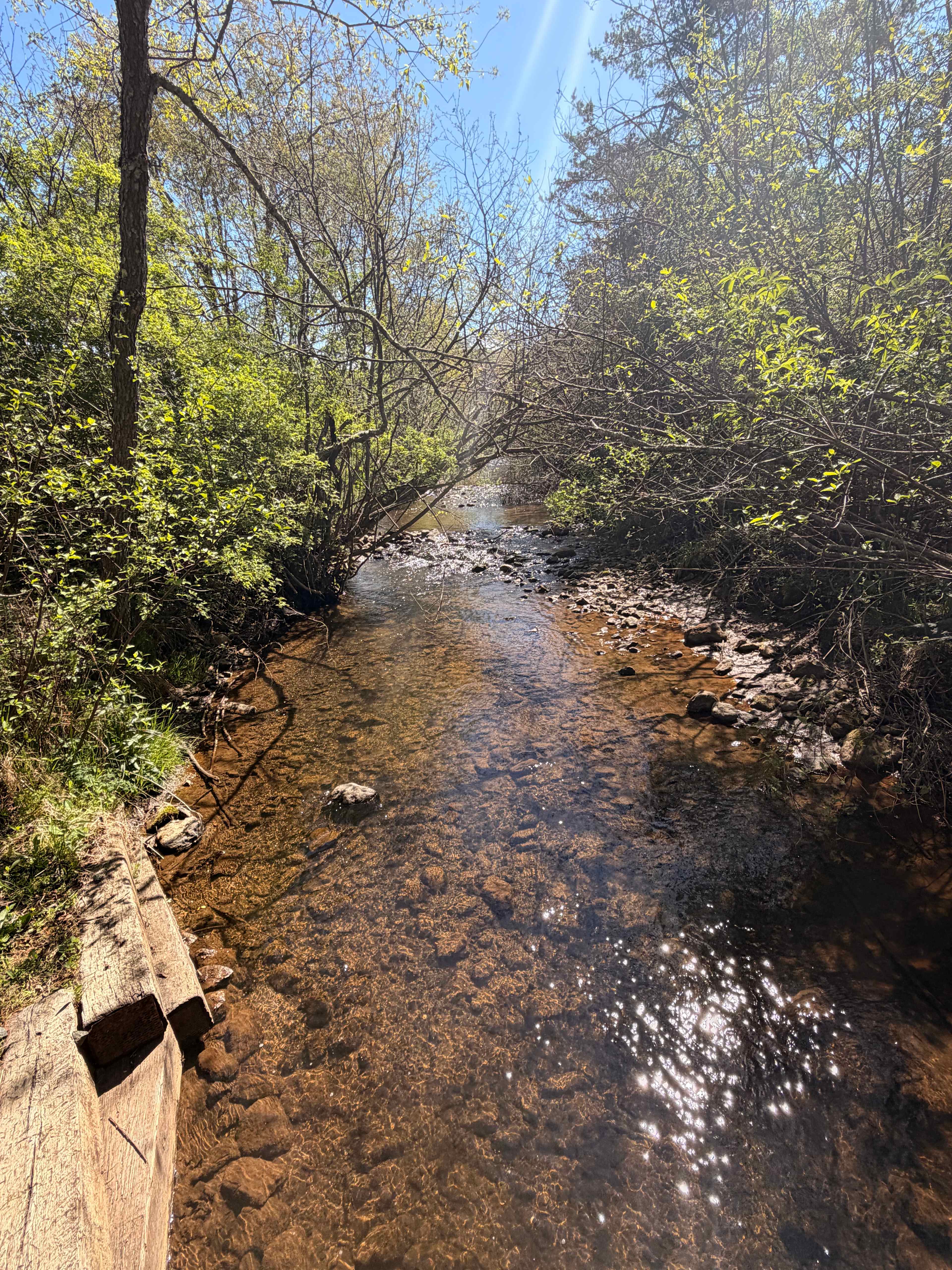 Crooked Mountain