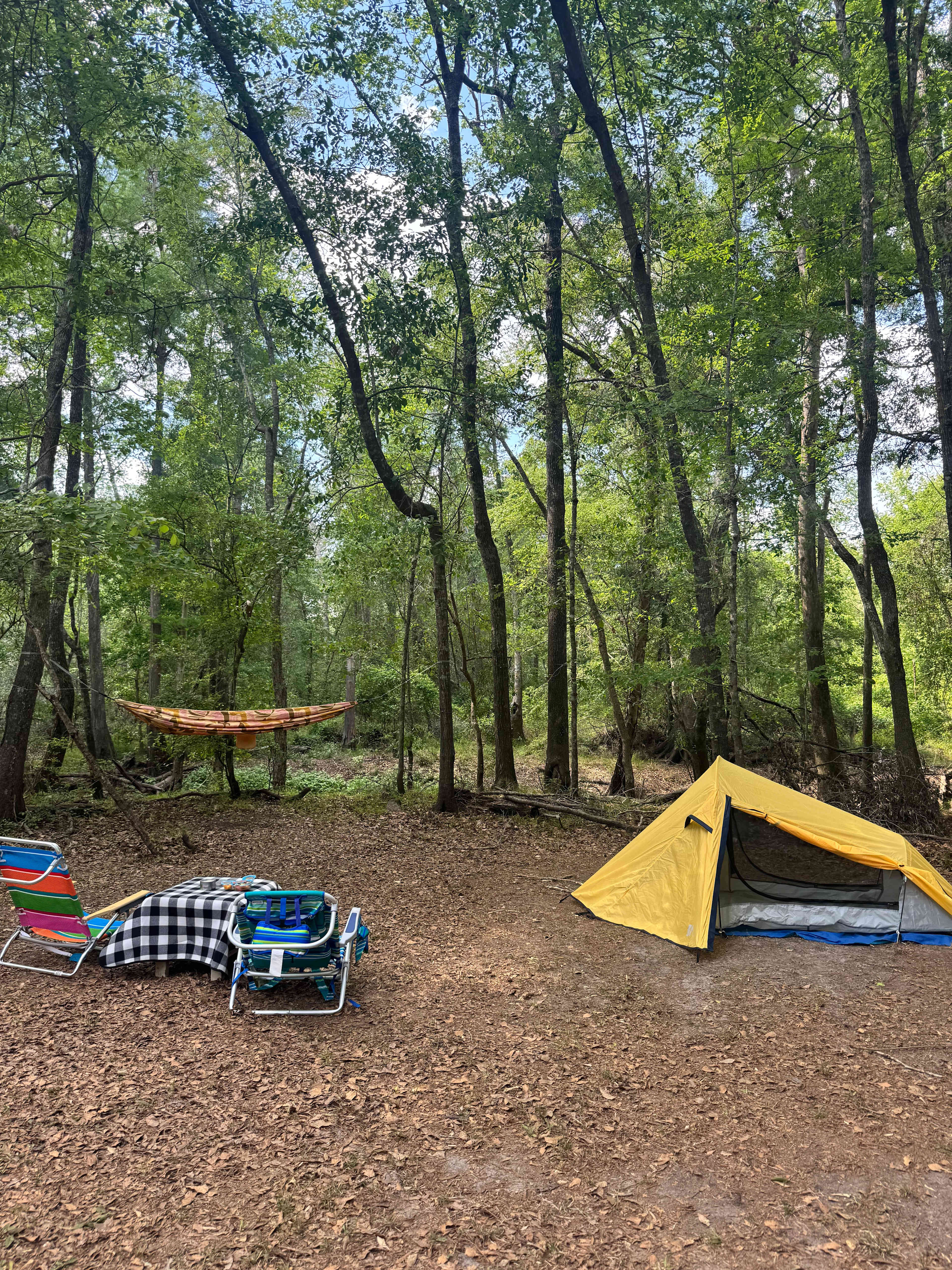 Canoochee River Rentals