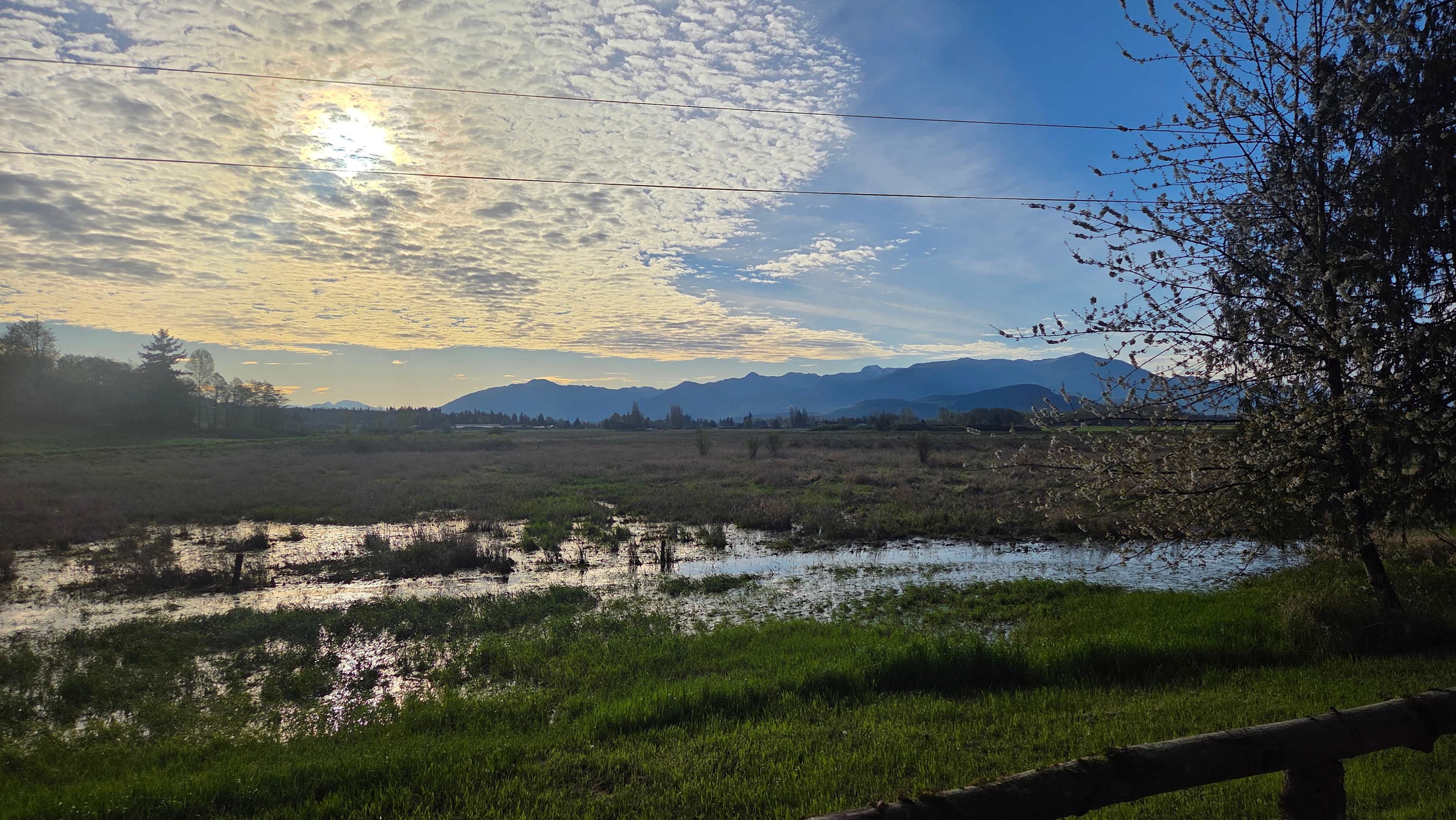 Morning view 