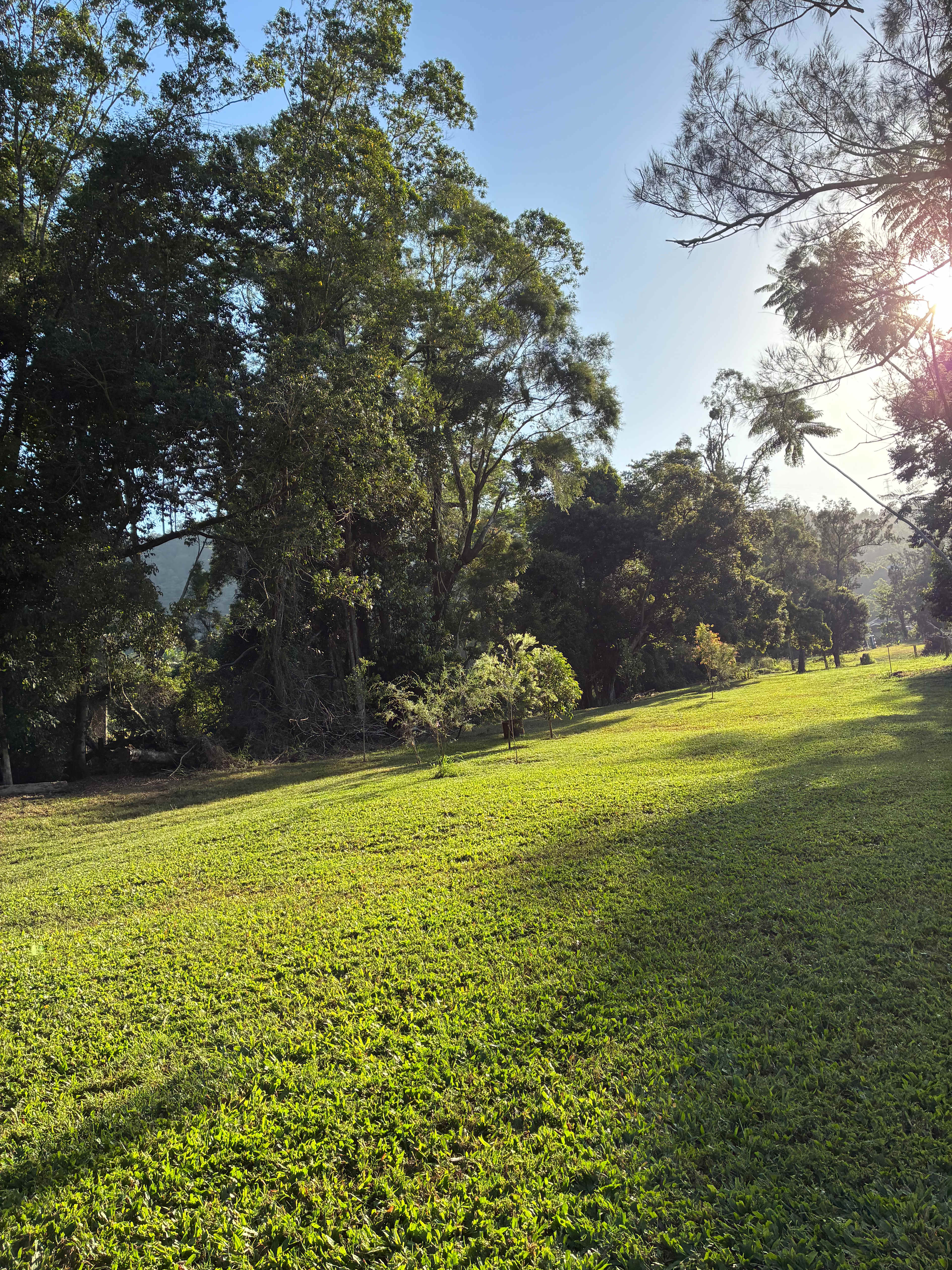Wongawallan Creek Estate