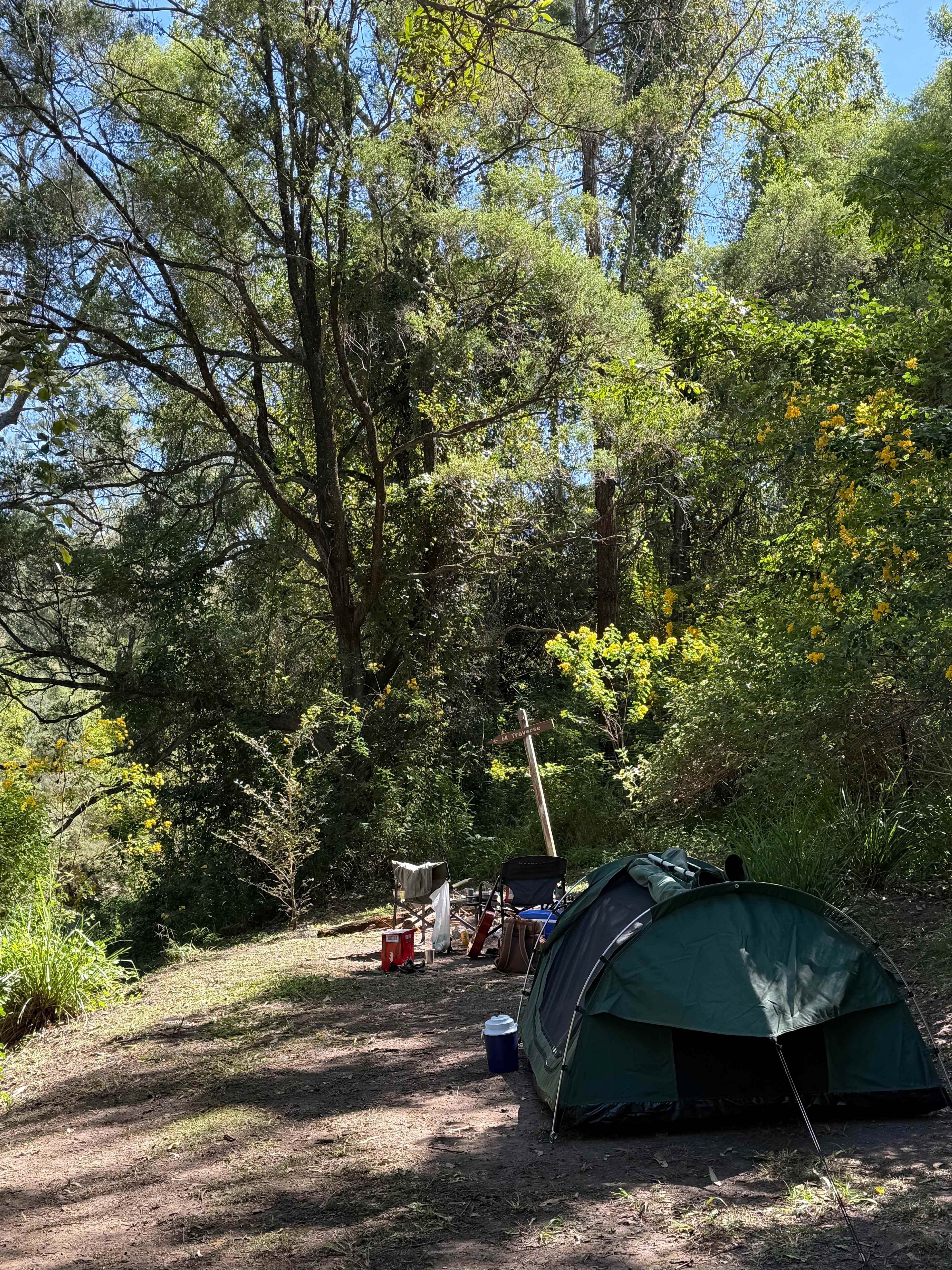 Bellbird Lodge