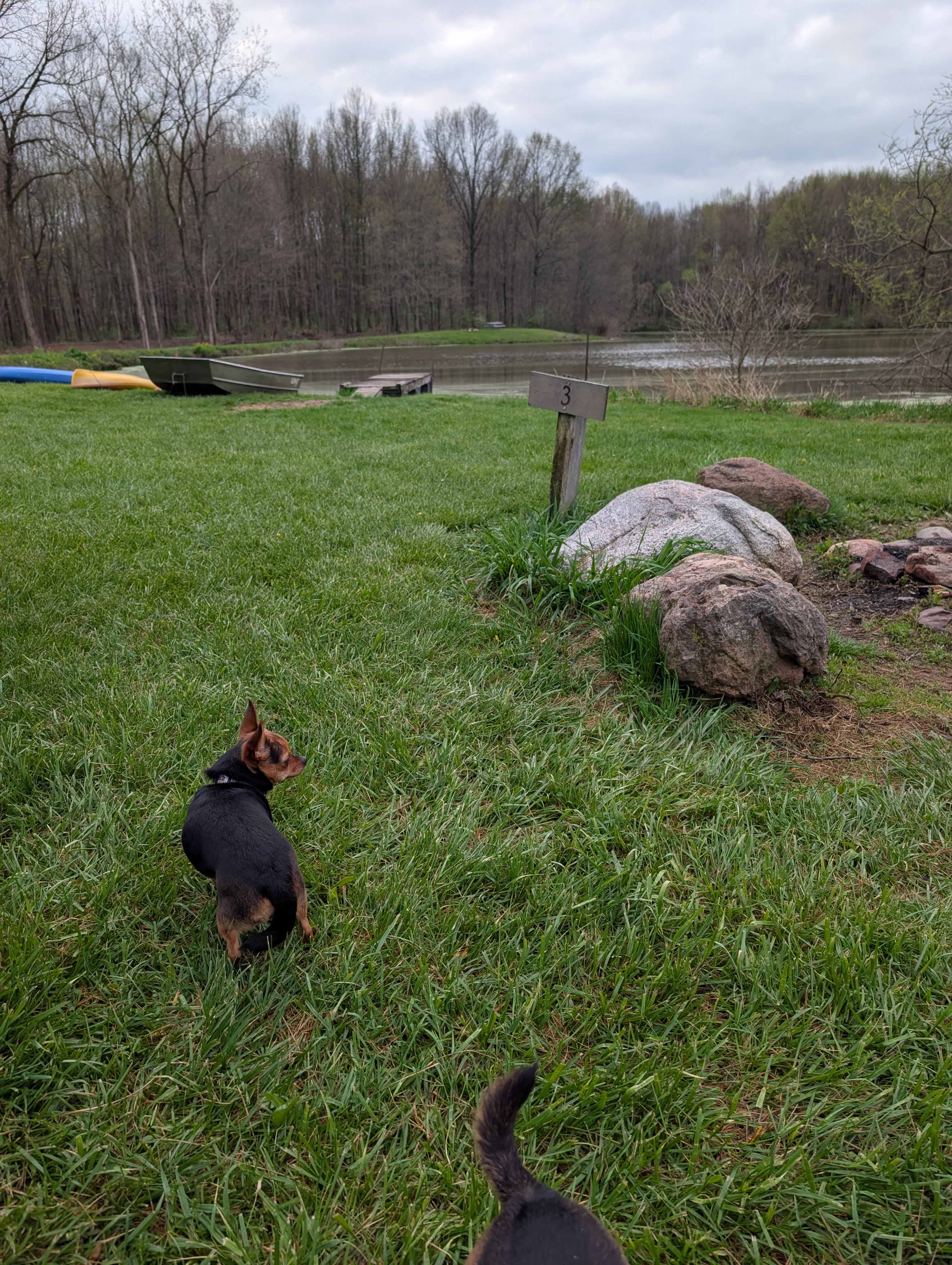 The Lake at the Flying J Farm