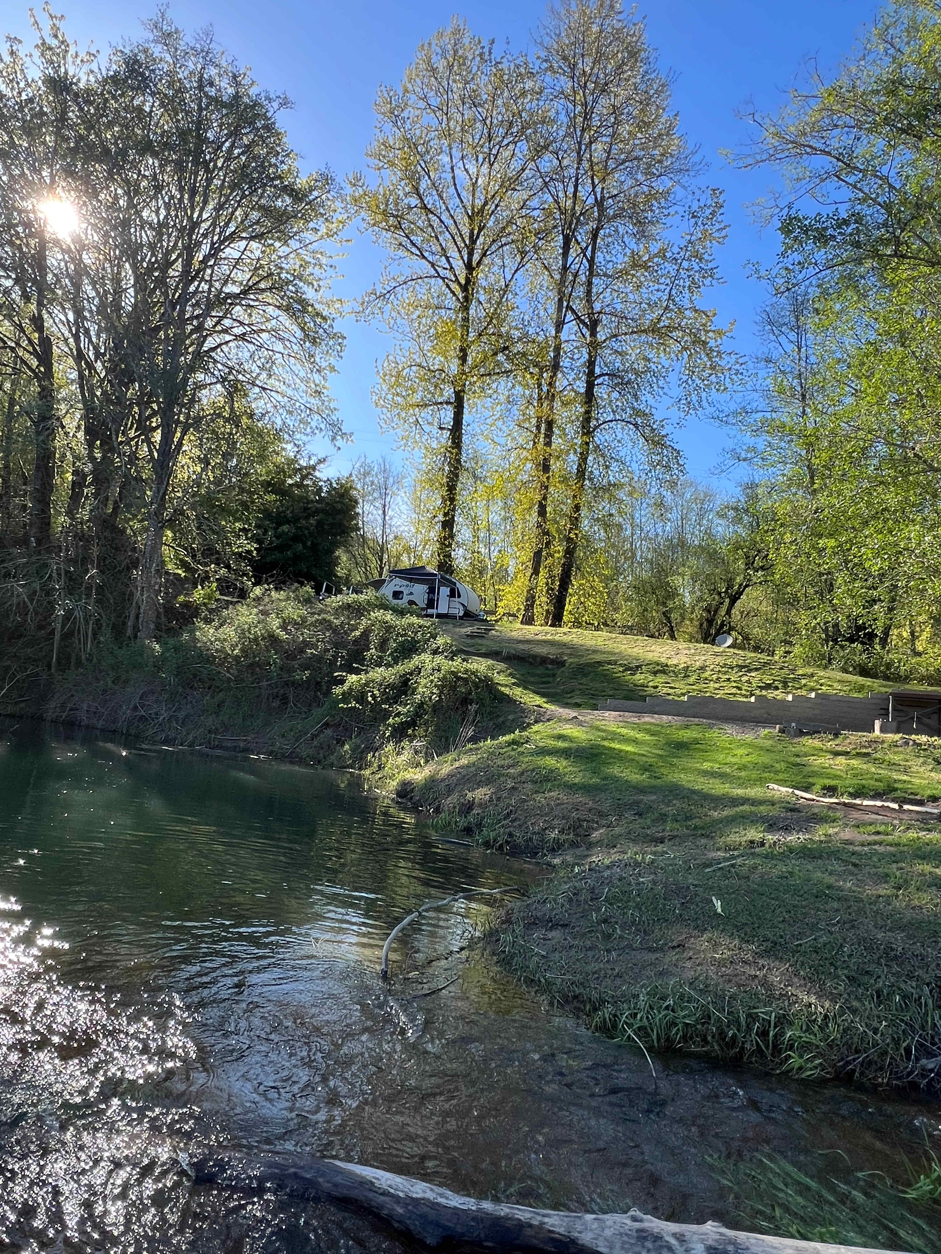 Cowlitz River Camping