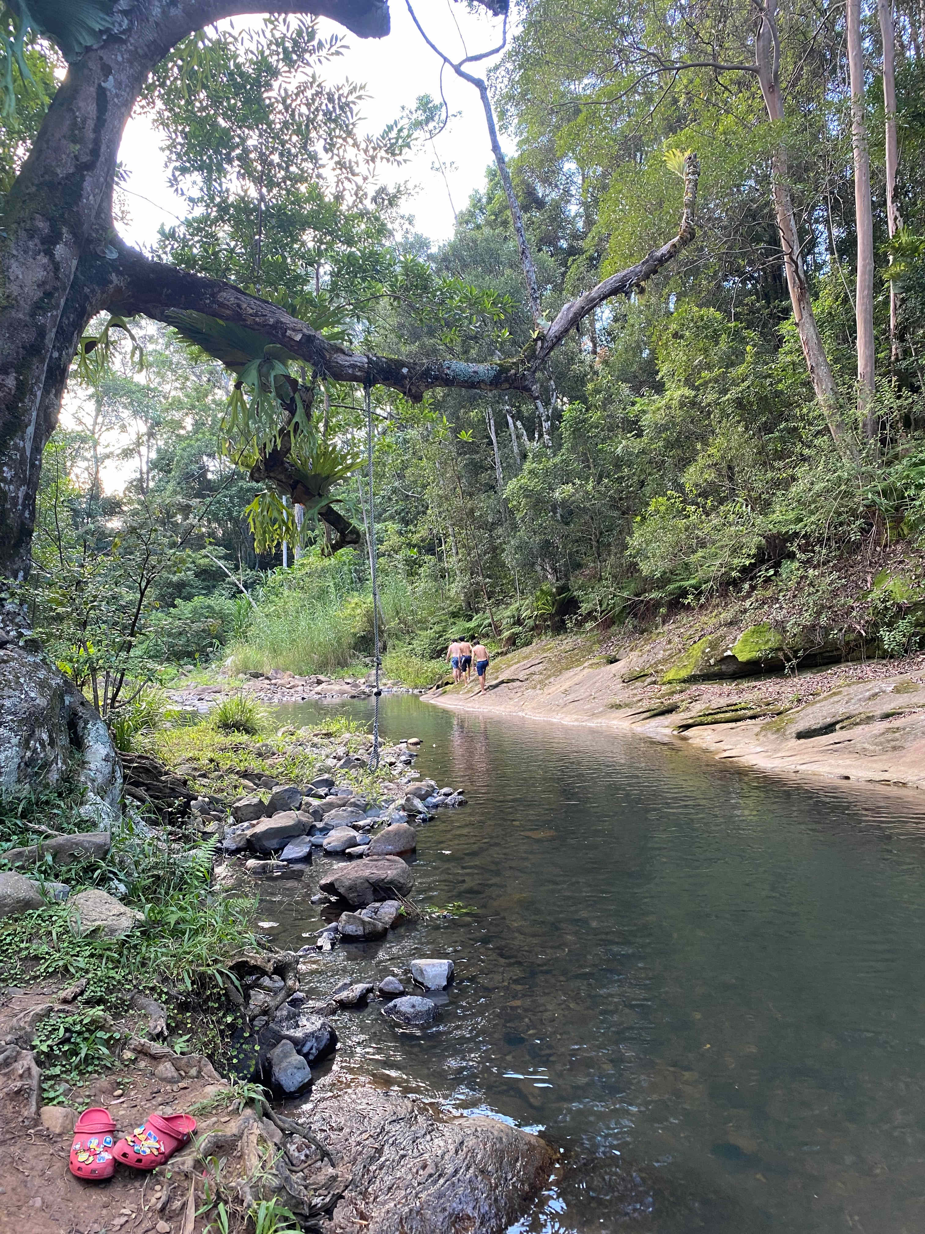 Cedar Waters Regen. Living Hub