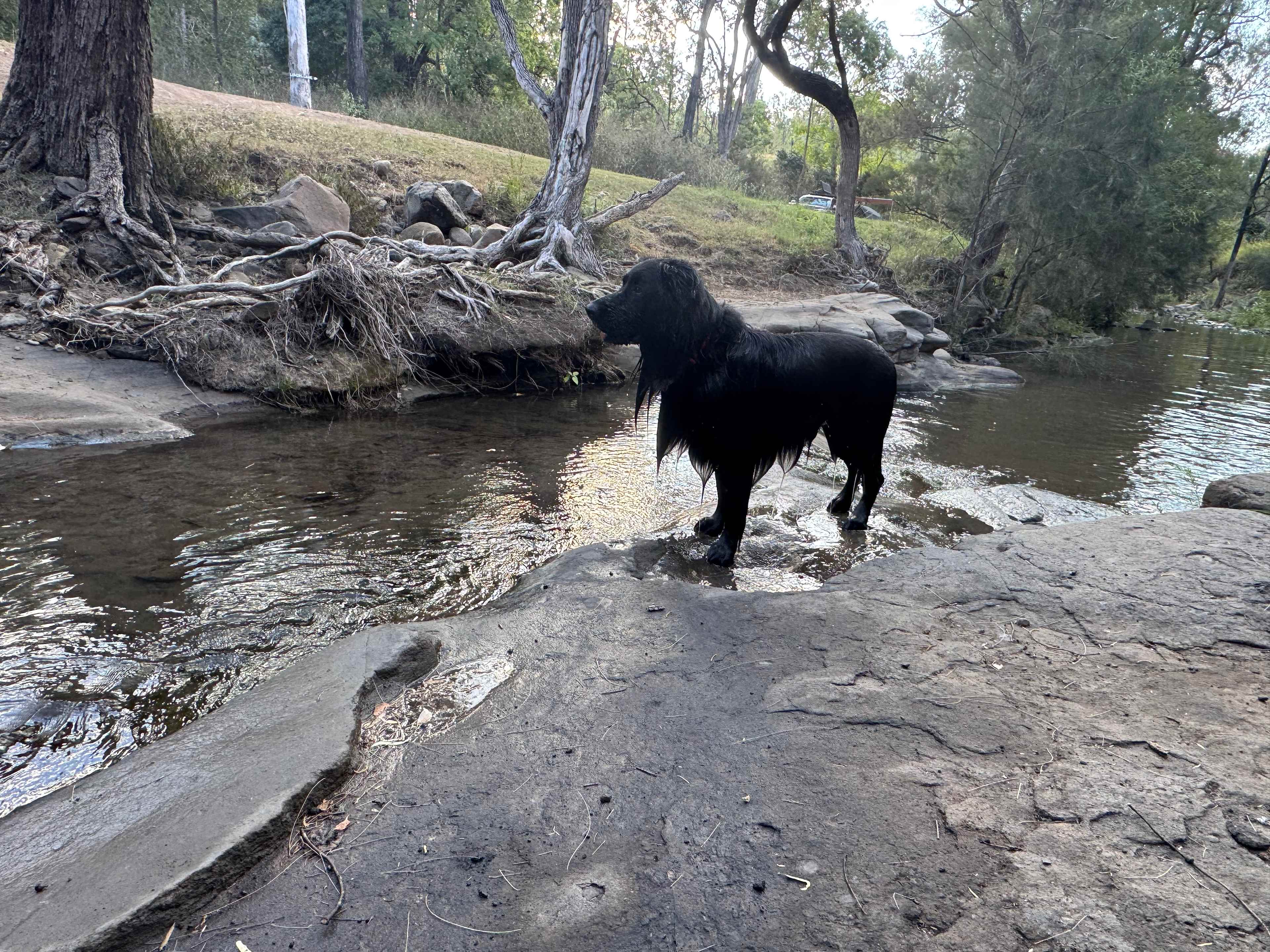 Over the Creek